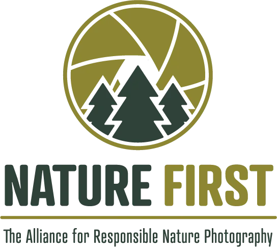 Nature First-Logo mit Tannenbäumen in olivgrünem Kreisdesign, welches die Blende einer Kamera ähnelt.