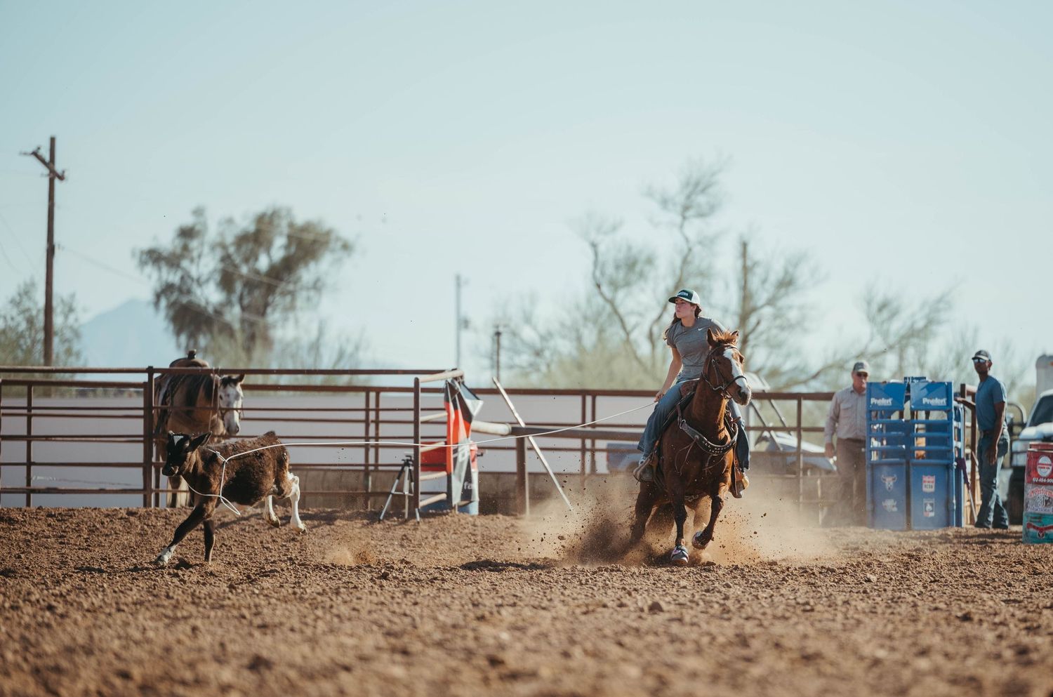 Two cowboys on horseback compete in a team roping event at an outdoor rodeo arena with dusty conditions.