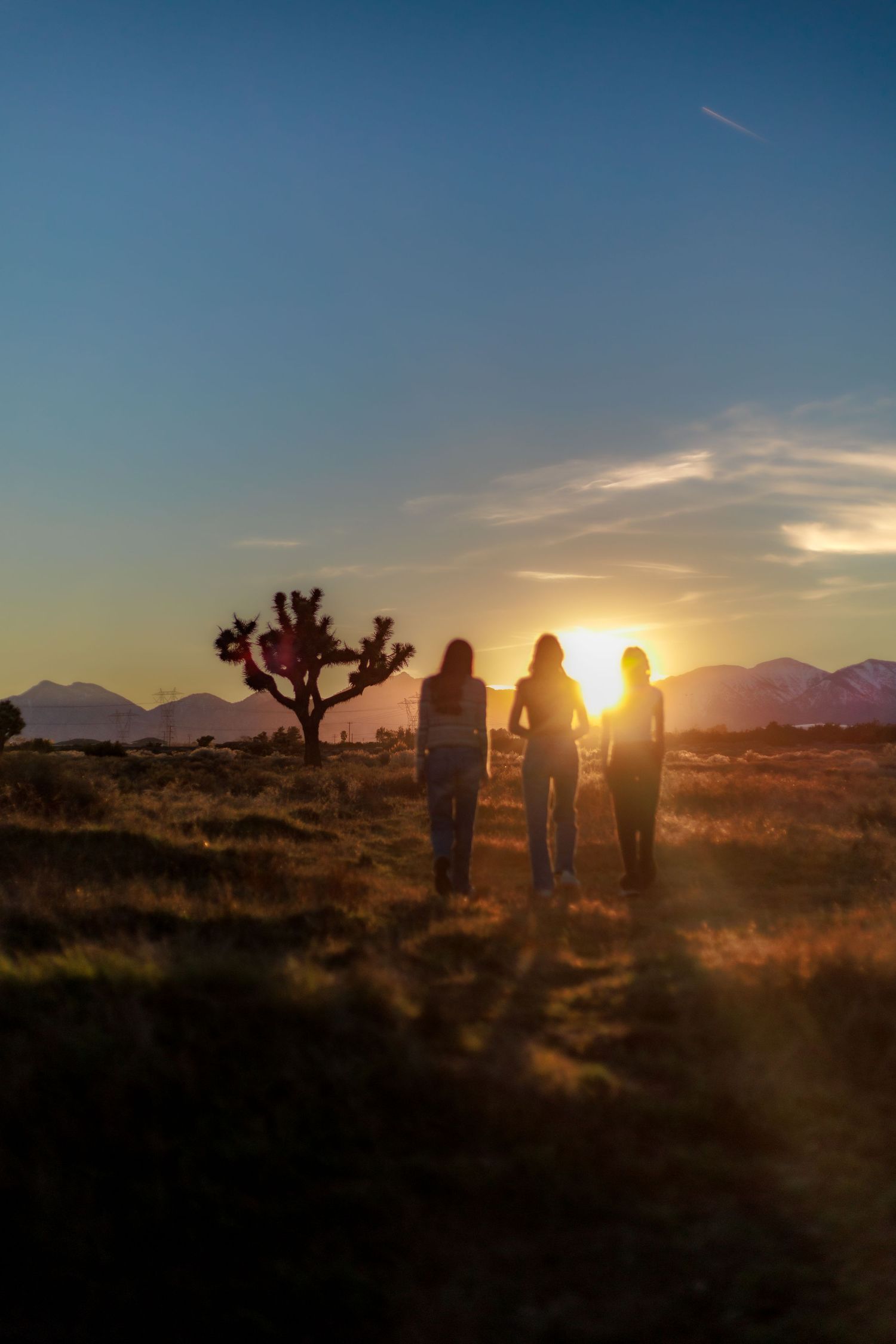 teens, families