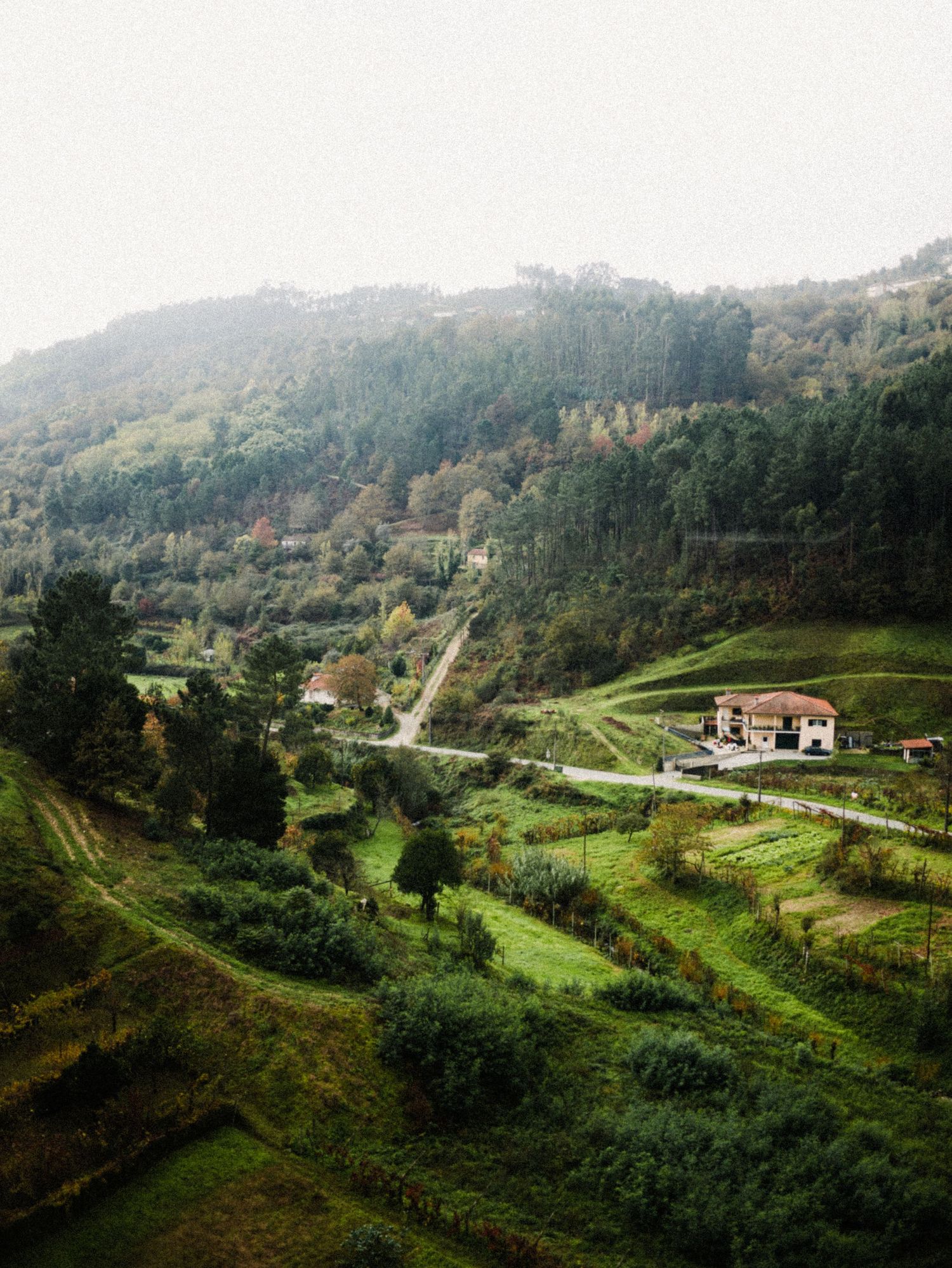 Valley of Emerald Green. Douro River Valley Train in Northern Portugal during Autumn 2024. © Jack Curtis Photography.