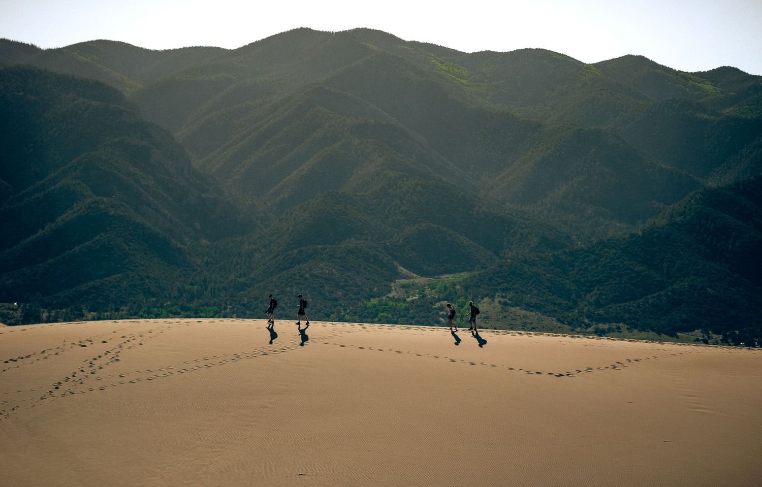 Travelers of the dune. Colorado Great Sand Dunes National Park during Summer 2024.   © Jack Curtis Photography.