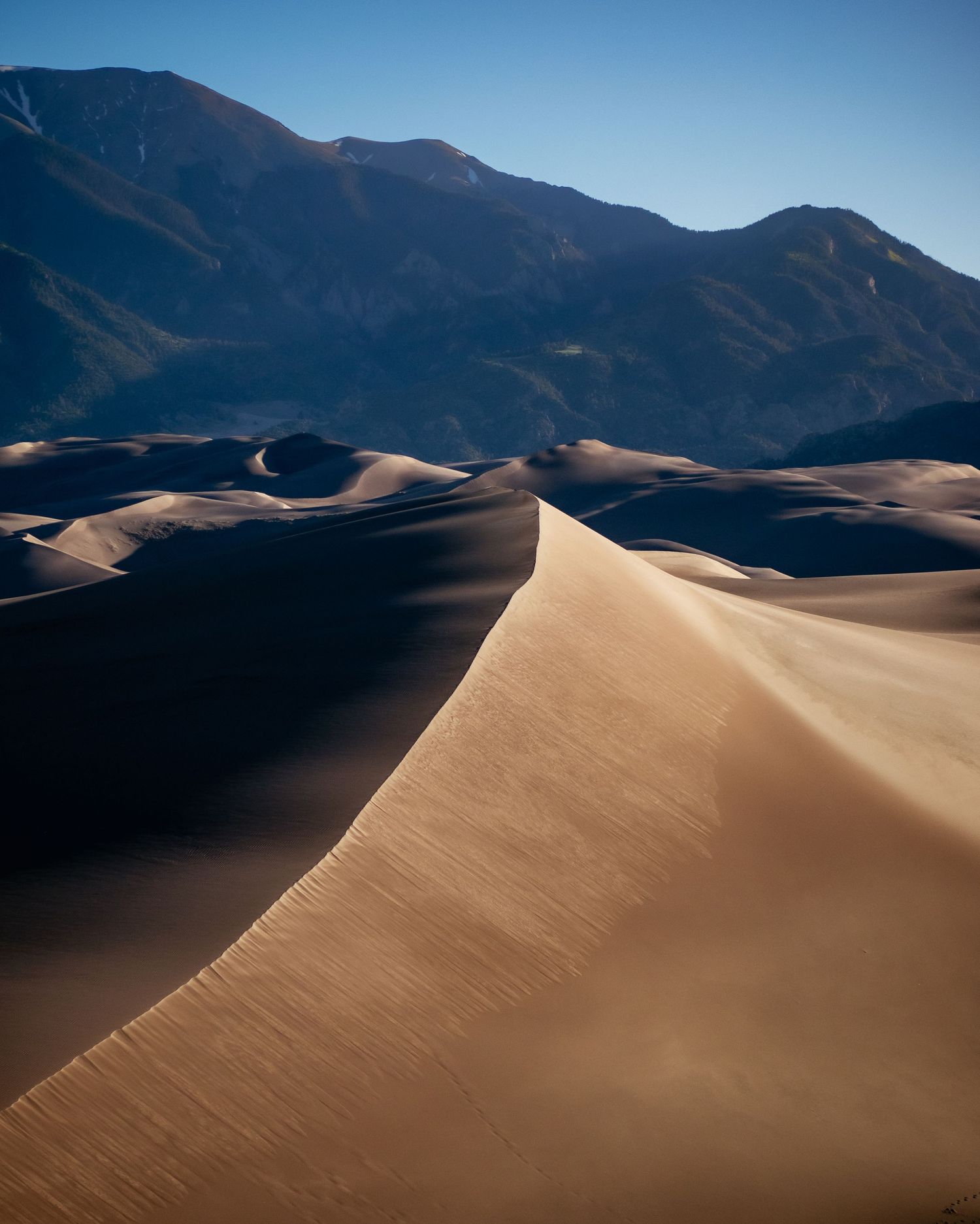 A ridge of granularity. Colorado Great Sand Dunes National Park during Summer 2024.   © Jack Curtis Photography.
