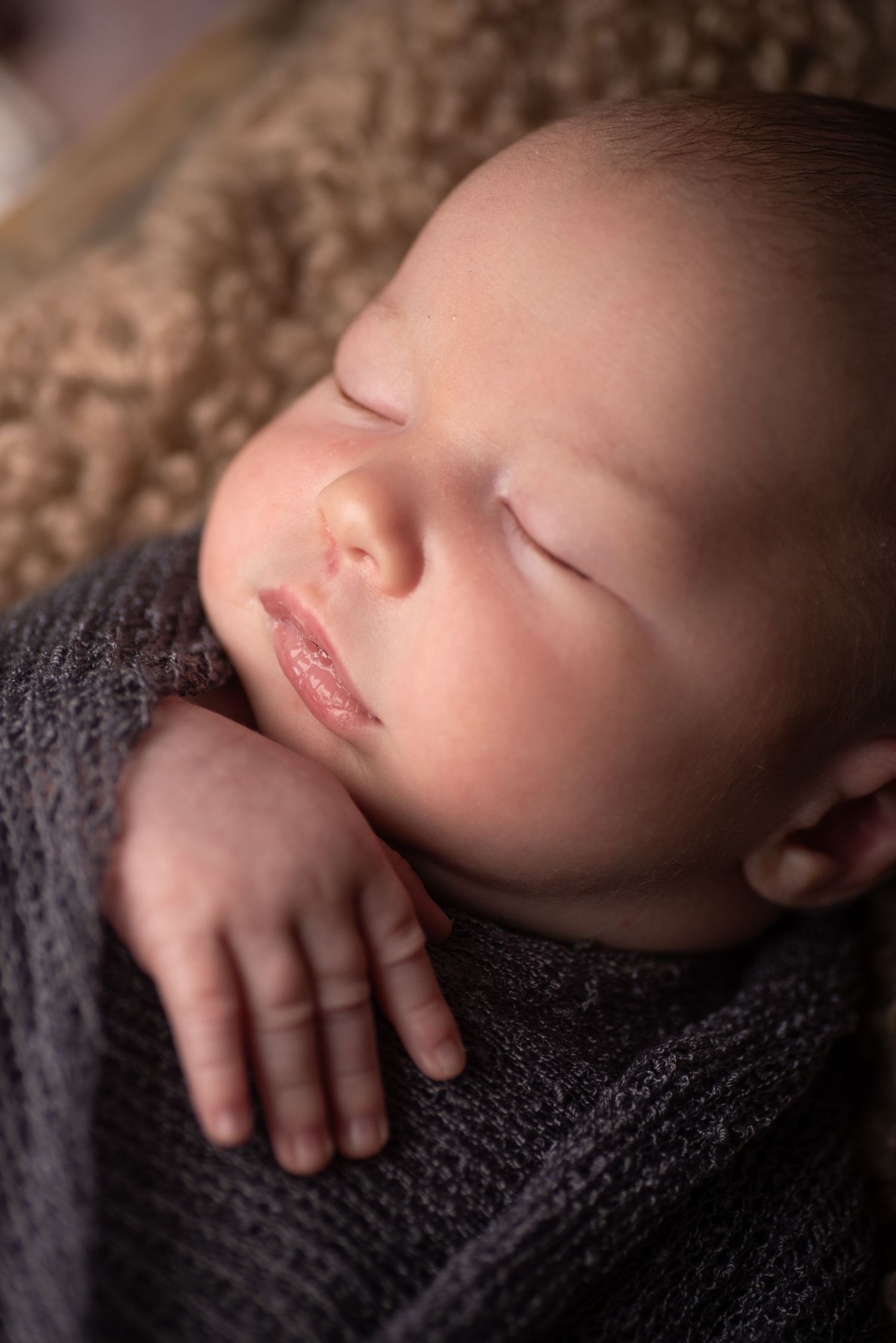Peaceful sleeping newborn baby wrapped in gray knit swaddle blanket, close-up portrait photography.