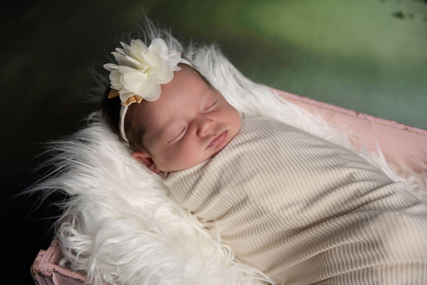Sleeping newborn baby wrapped in cream swaddle with white floral headband on fluffy white fur in pink basket.