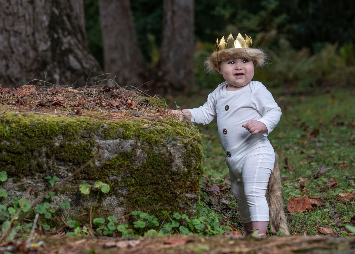 Small child wearing a gold crown stands on mossy log in forest setting.
