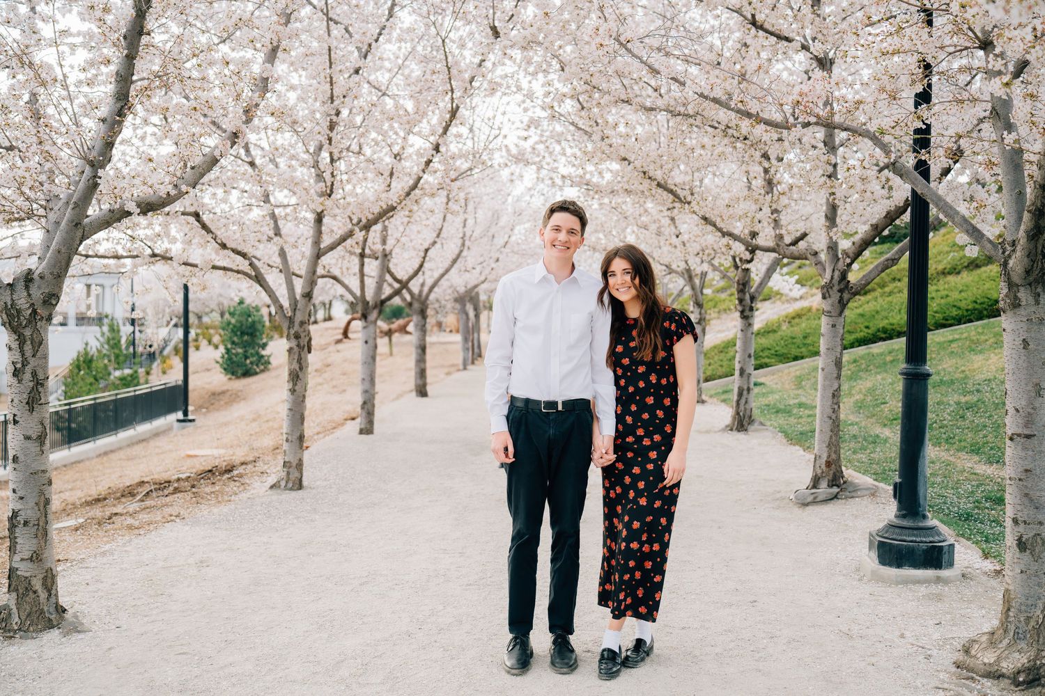 Couple posing among blooming cherry blossom trees on a scenic pathway in spring.