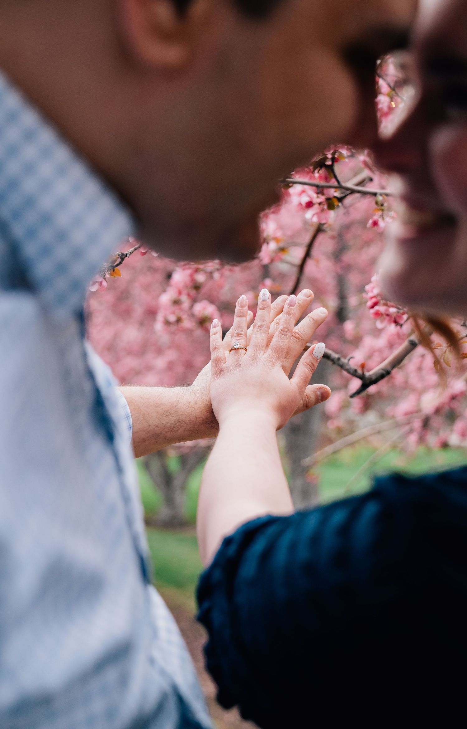 Couple kissing behind intertwined hands with an engagement ring, framed by pink cherry blossom trees in bloom.