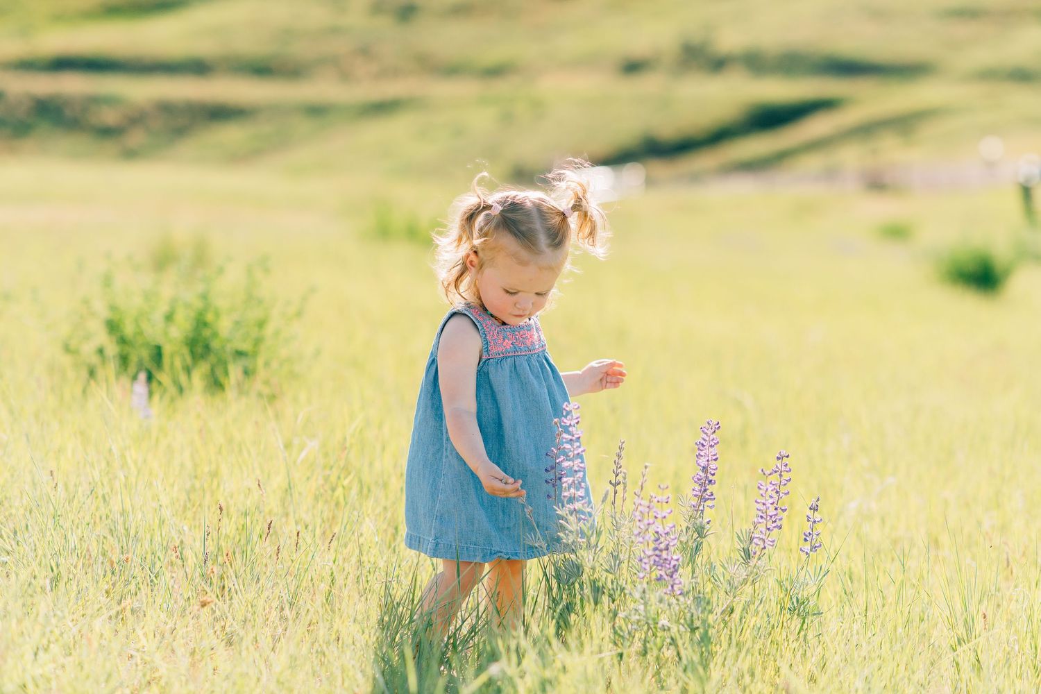 Southeast Idaho Family Photographer