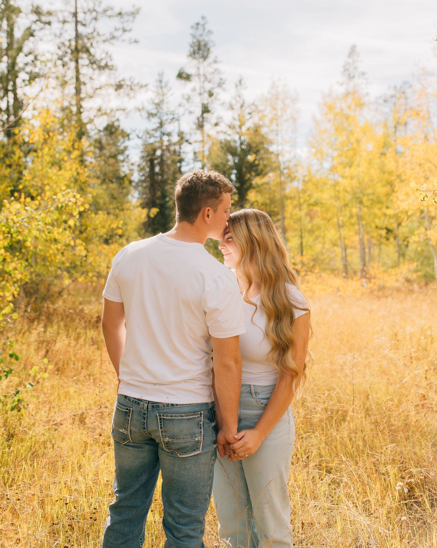 A couple sharing an intimate moment in a golden field with evergreen trees in the background.
