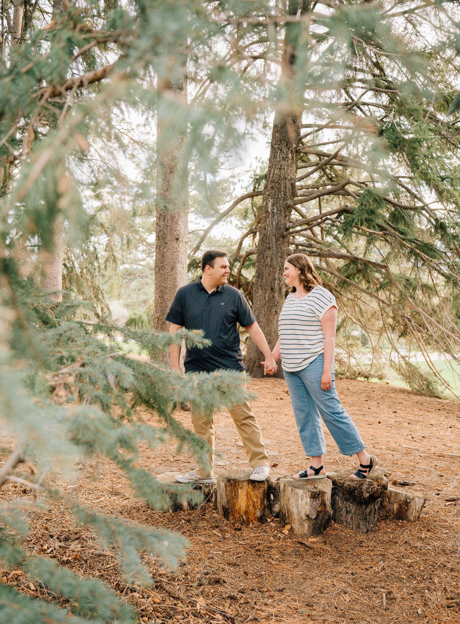 Couple holding hands and smiling at each other while standing on tree stumps in a pine forest.