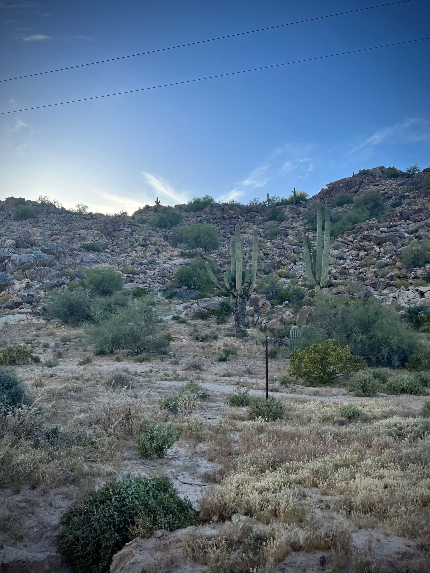 Desert landscape with tall saguaro cacti and rocky terrain under blue sky with wispy clouds. located in casa grande Arizona.