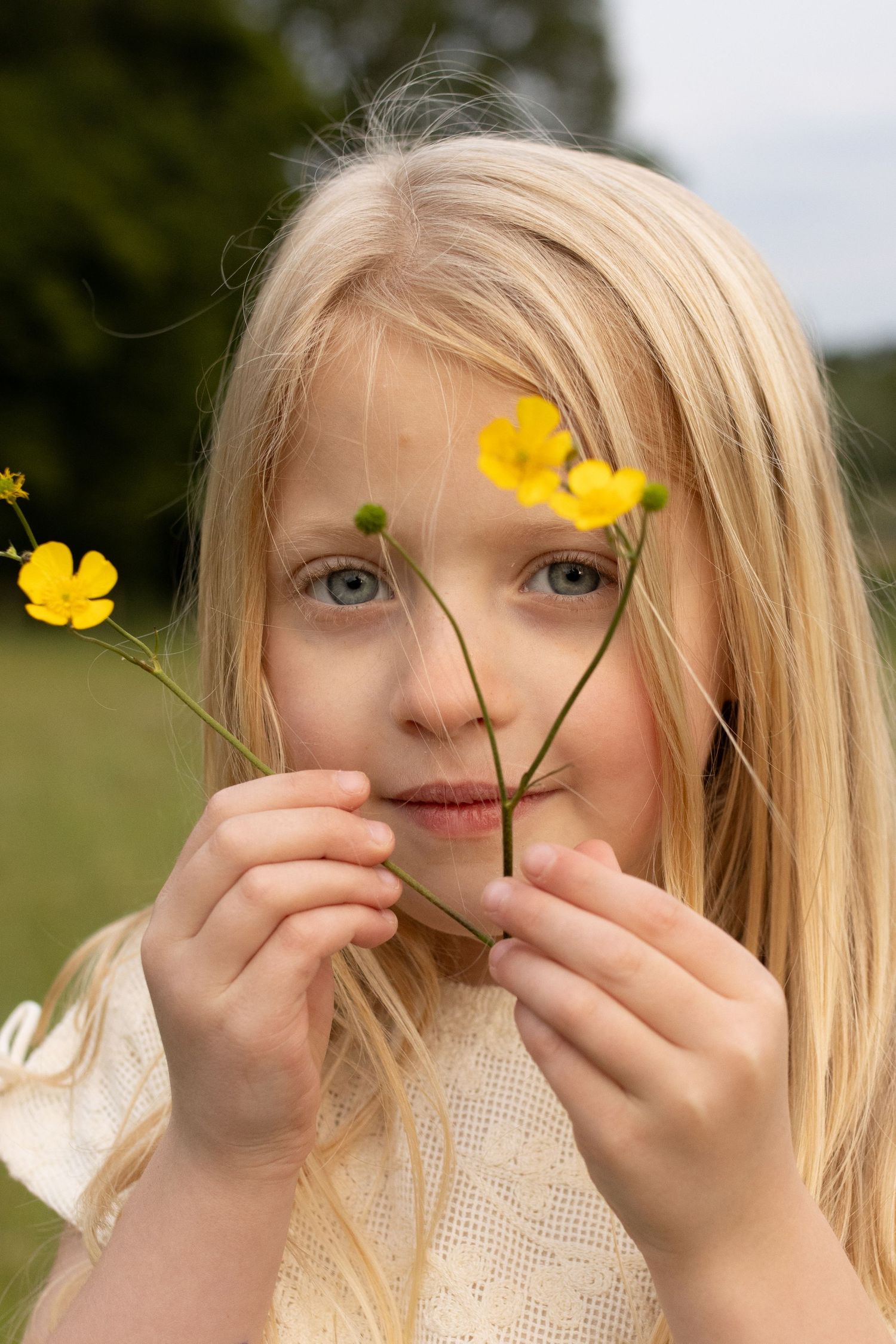 Close-up sequence of yellow wildflowers being held up against blue sky.