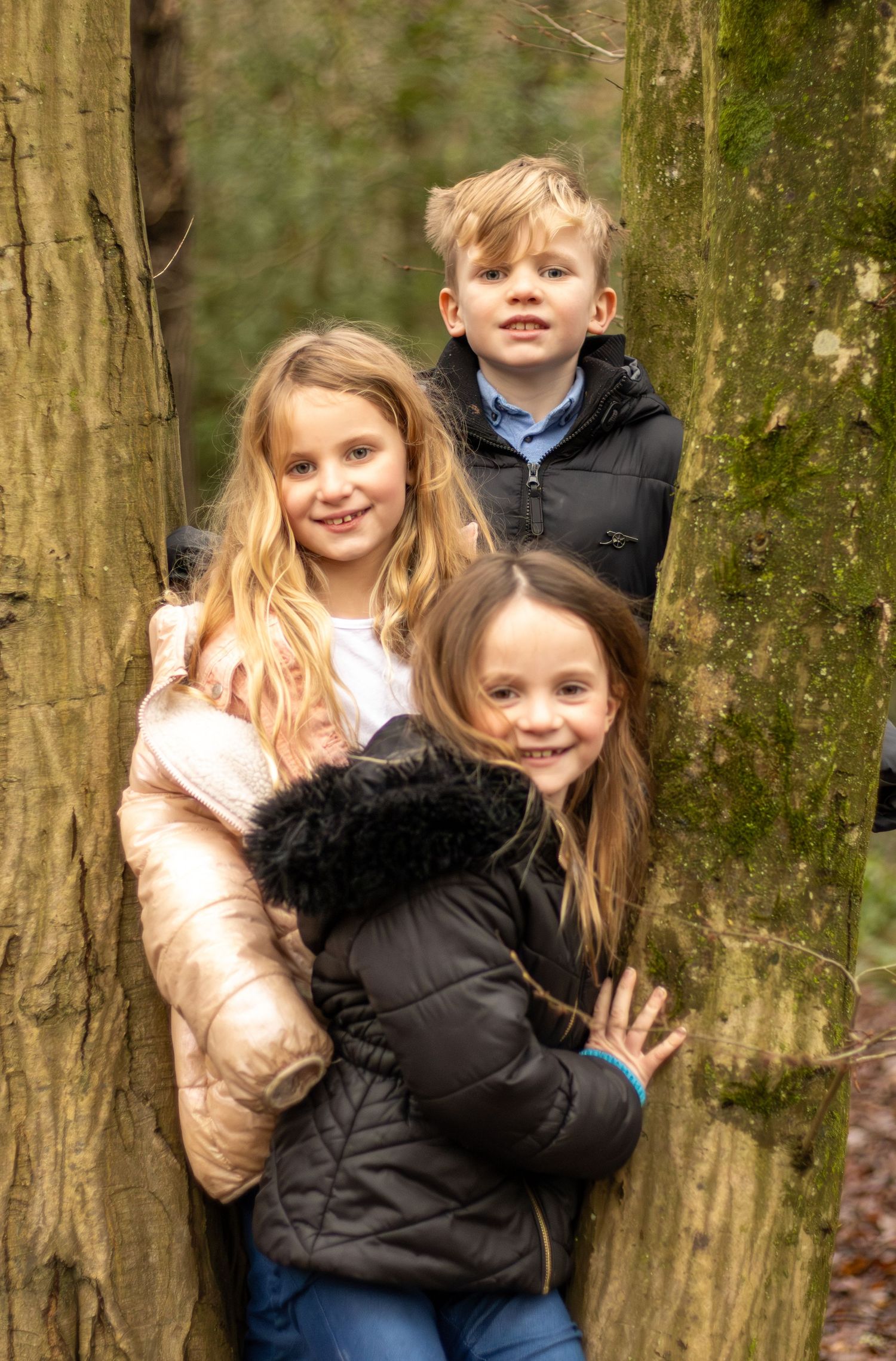 Children playing peek-a-boo behind tree trunks in a forest setting.