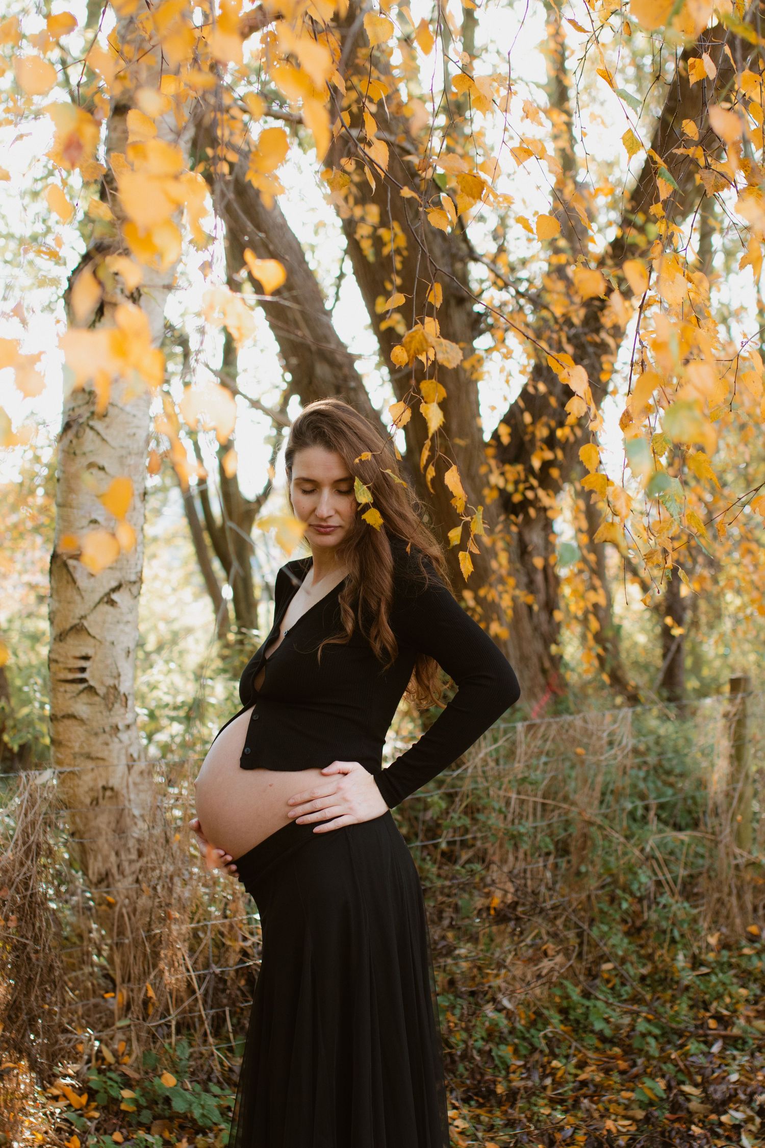 Maternity photoshoot in autumn forest with golden leaves and birch trees.