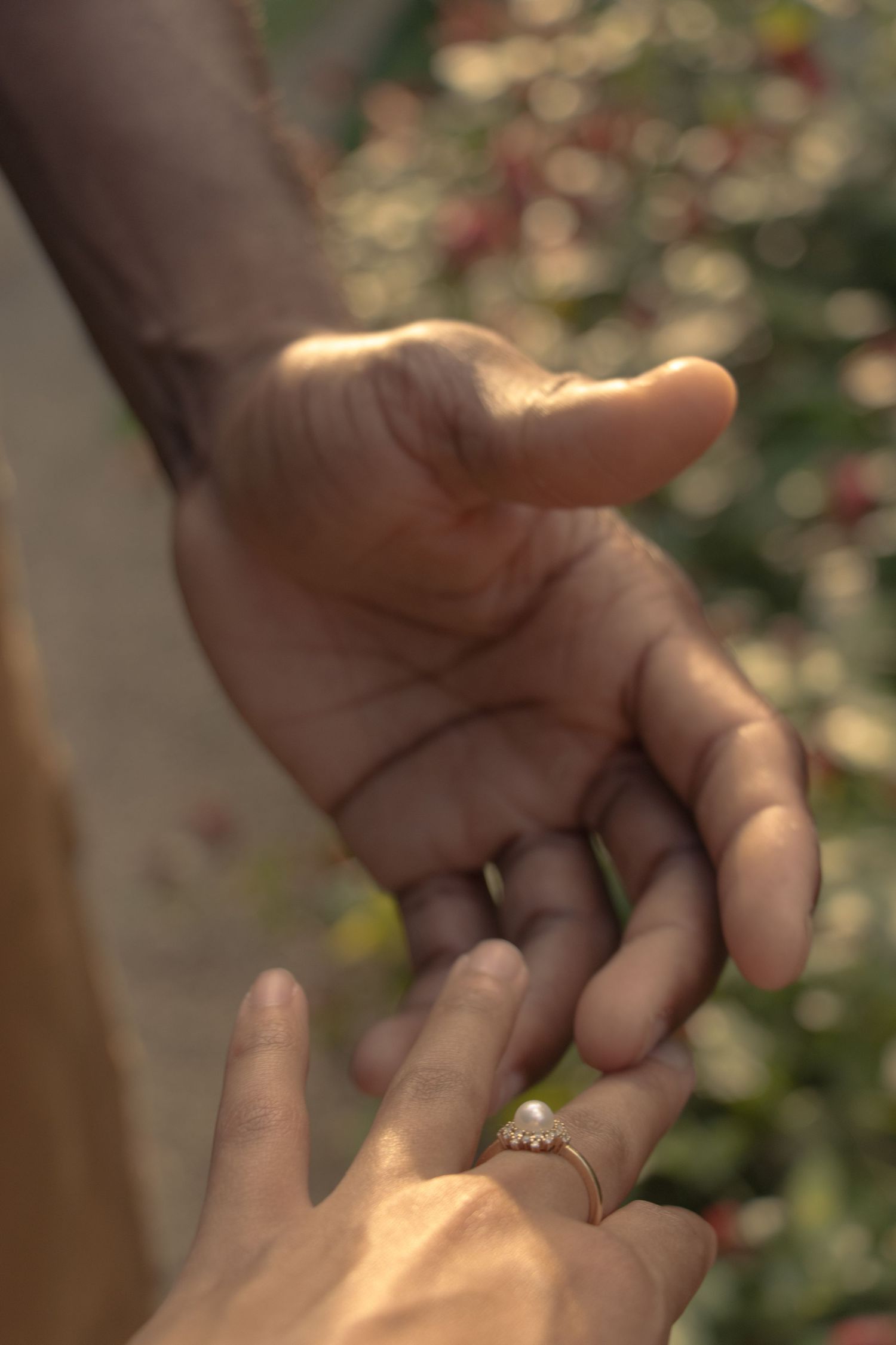 Two hands coming together for a romantic ring exchange moment in a garden setting. By Chrissie McLean Photography.