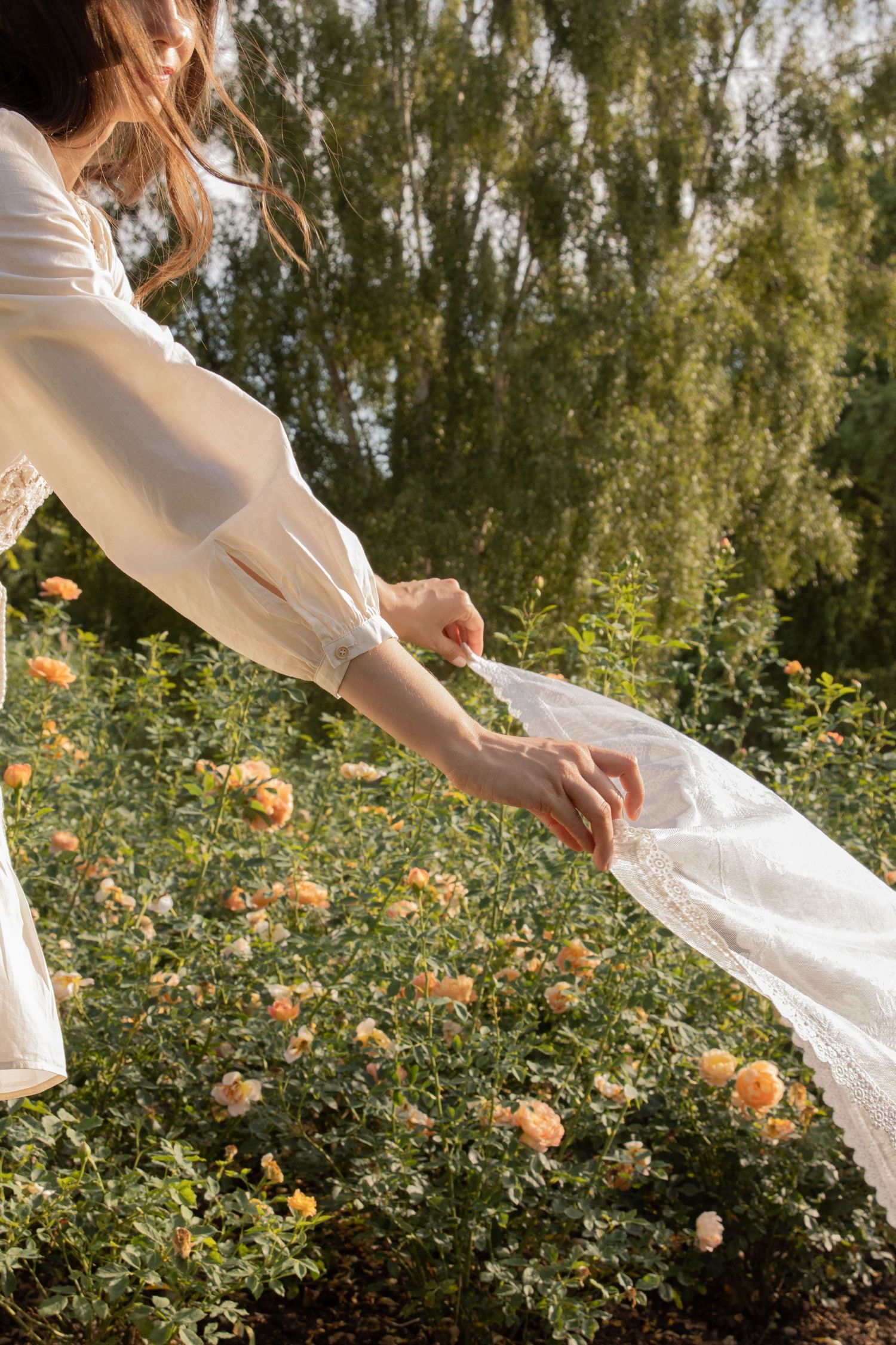 Hands adjusting white wedding dress fabric against a background of blooming roses. By Chrissie McLean Photography.
