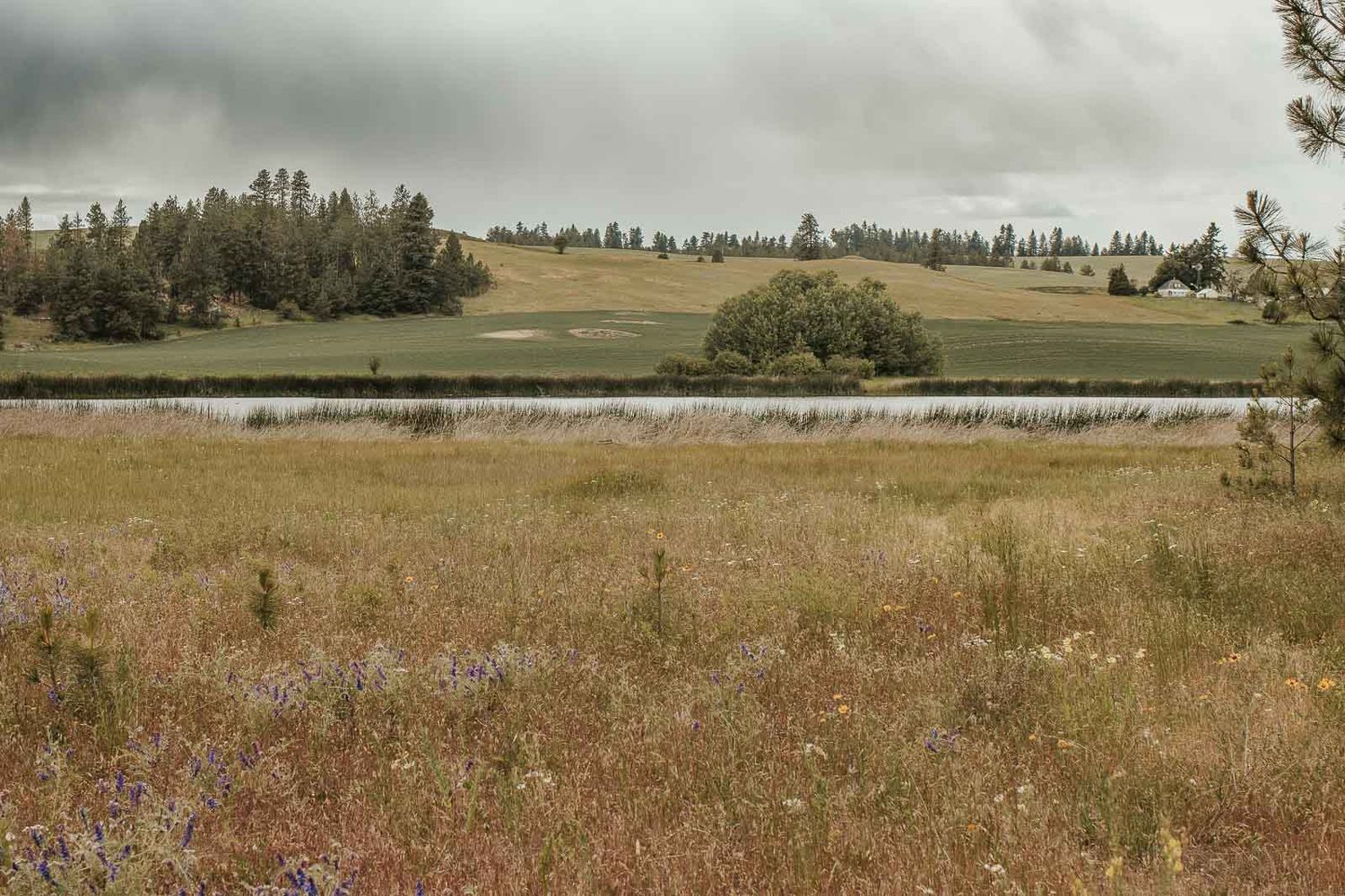 Family of 5 in earth tone outfits at sunset in open field with hills, lake in background at Spokane outdoor photo venue