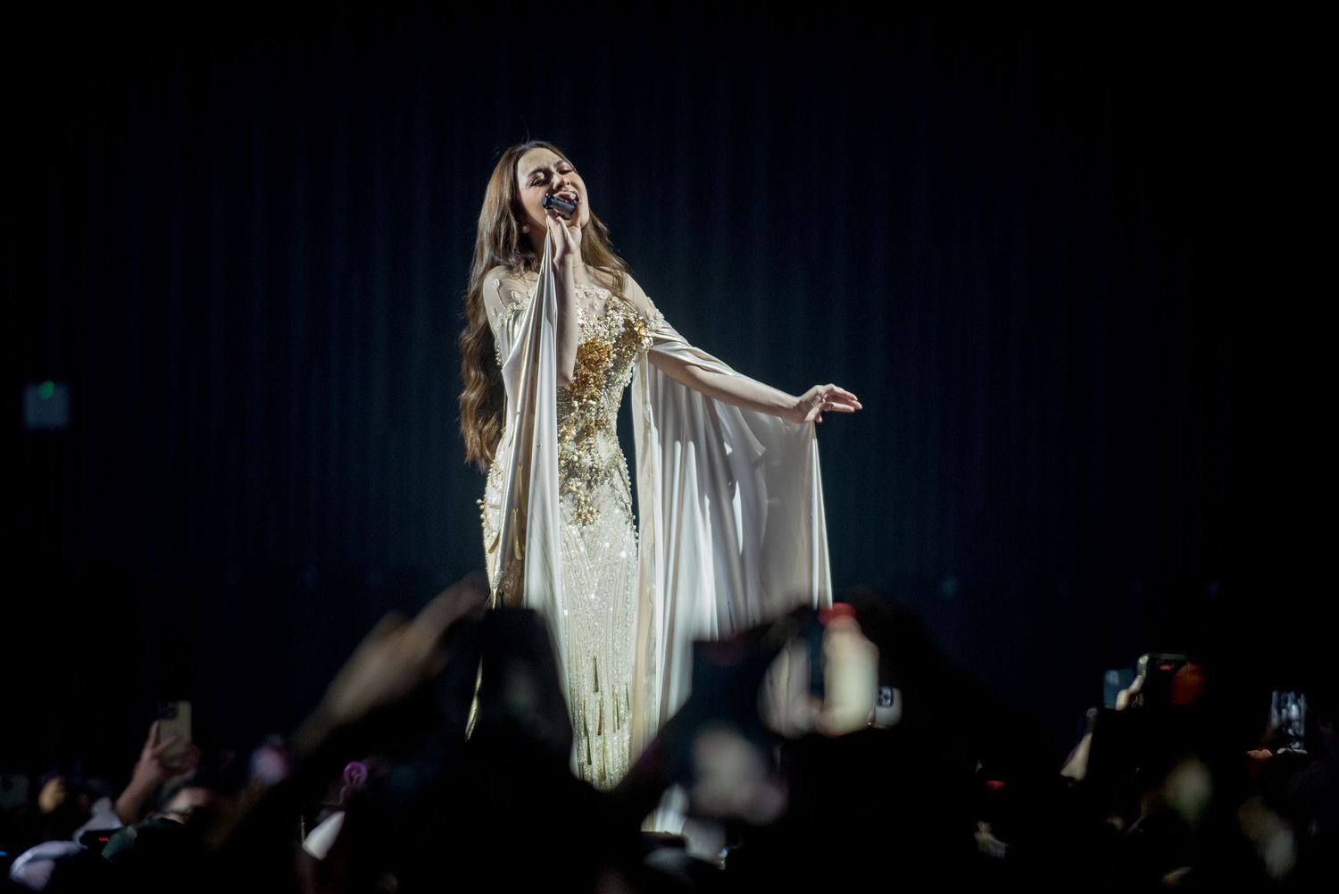 Concert Photographer