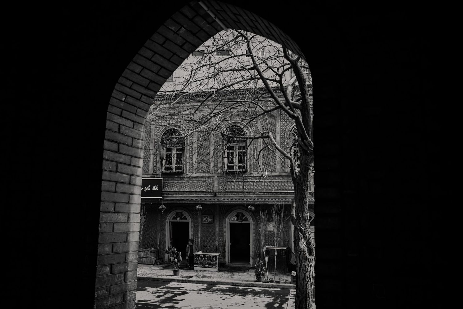 Travel Photographer