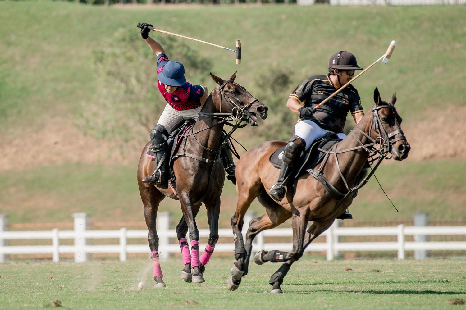 Sport Photographer