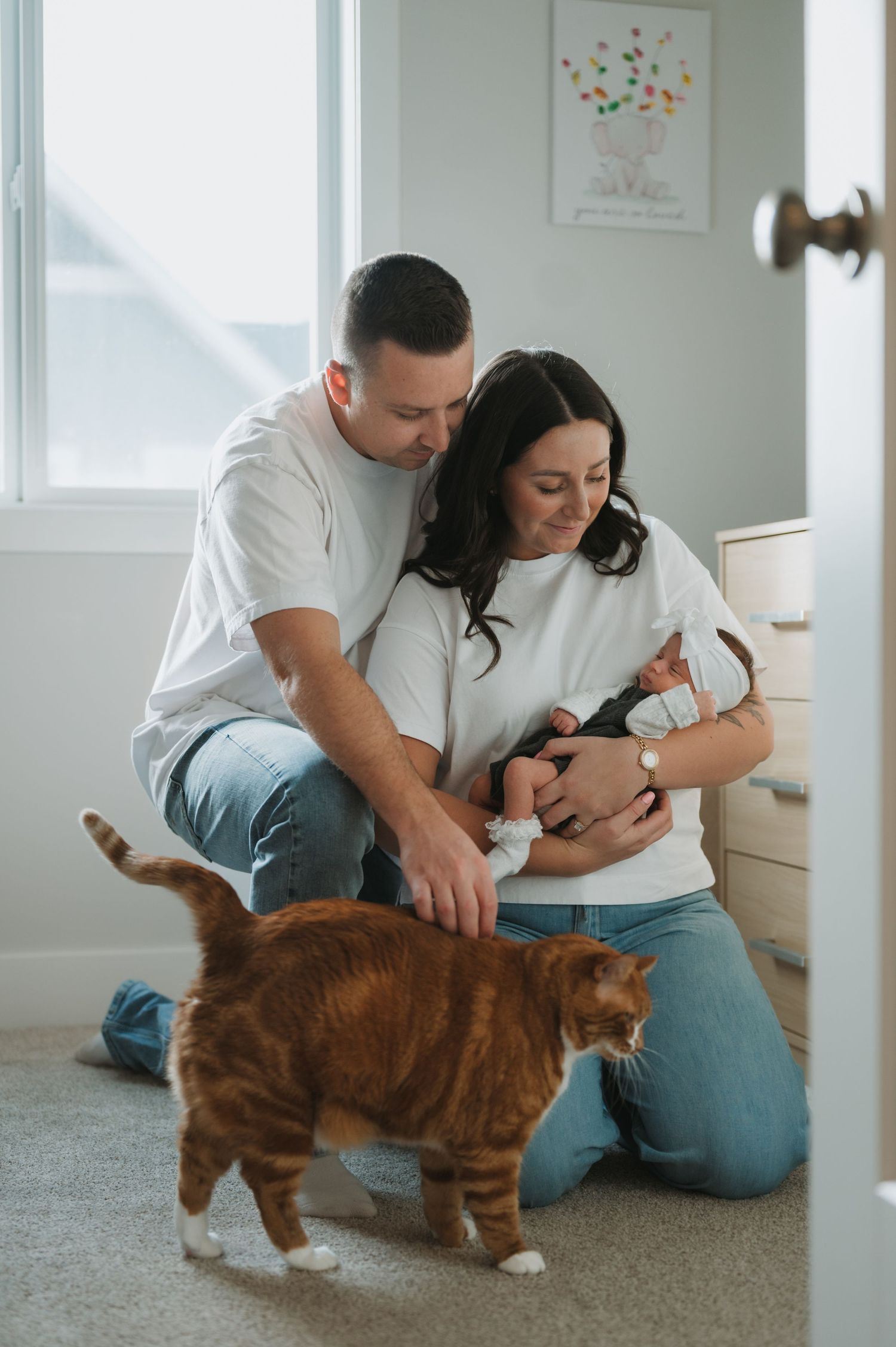In-home lifestyle newborn family photography session with cat