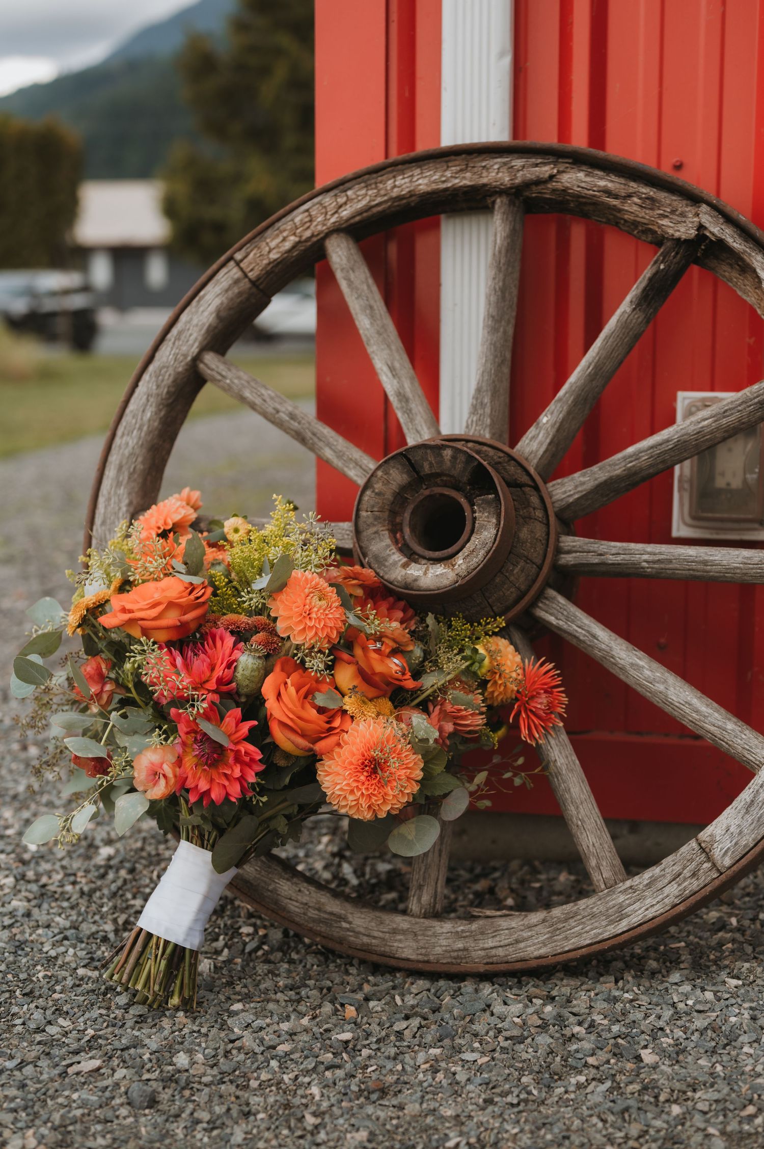 Wedding lifestyle photographer, lower mainland