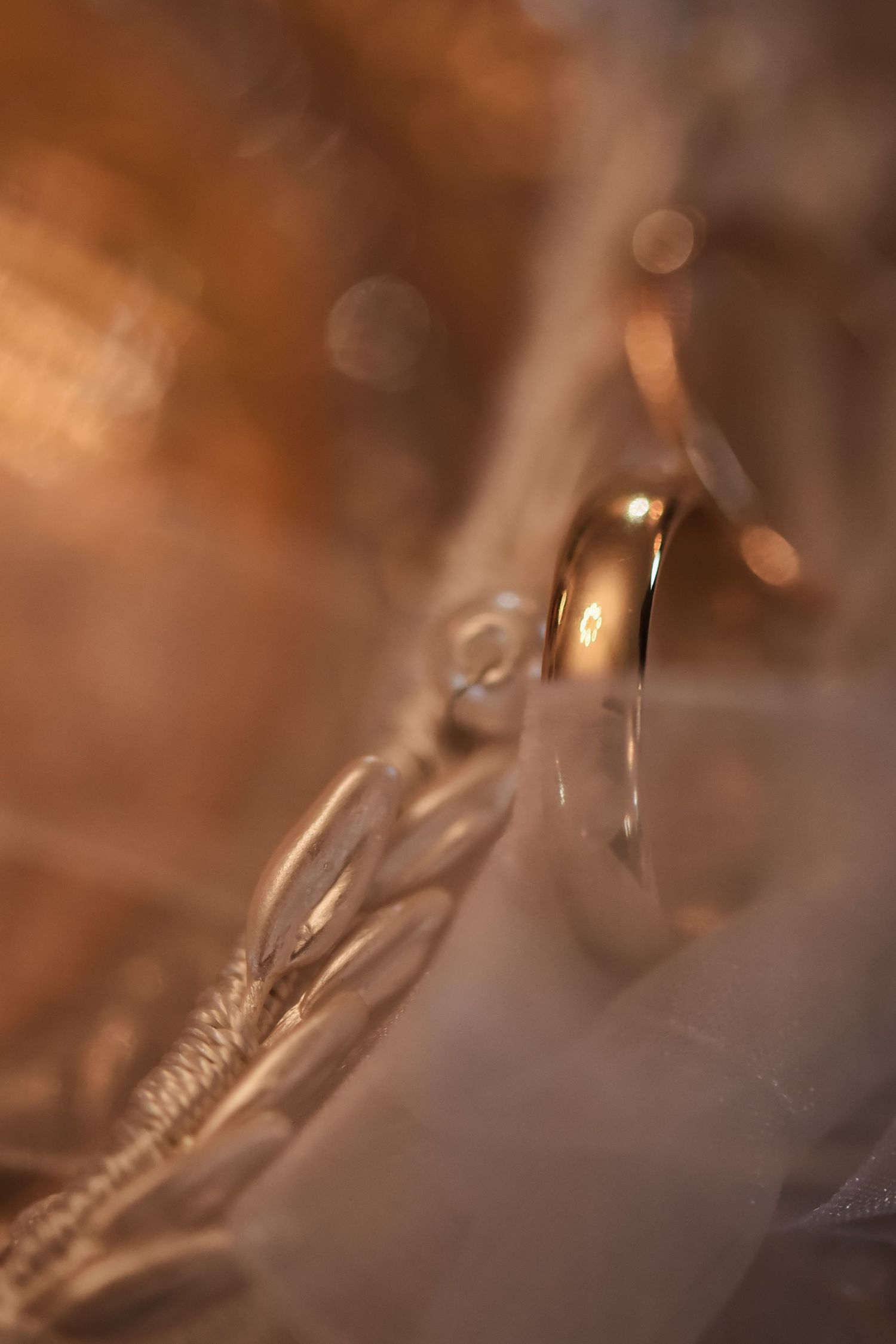 A detail of the rings and the 
