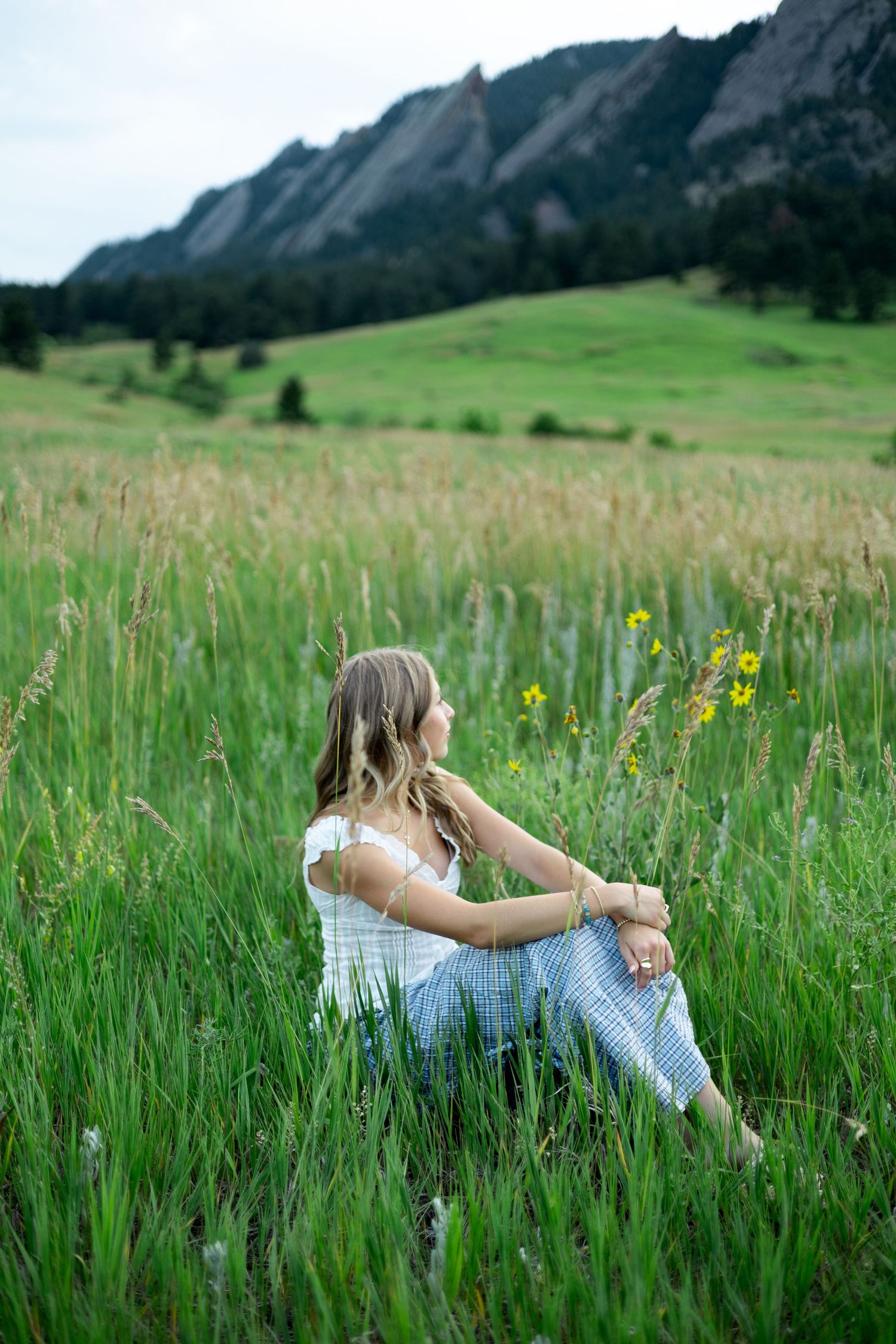 A peaceful summer scene in a mountain meadow with tall grass and wildflowers against rugged peaks.