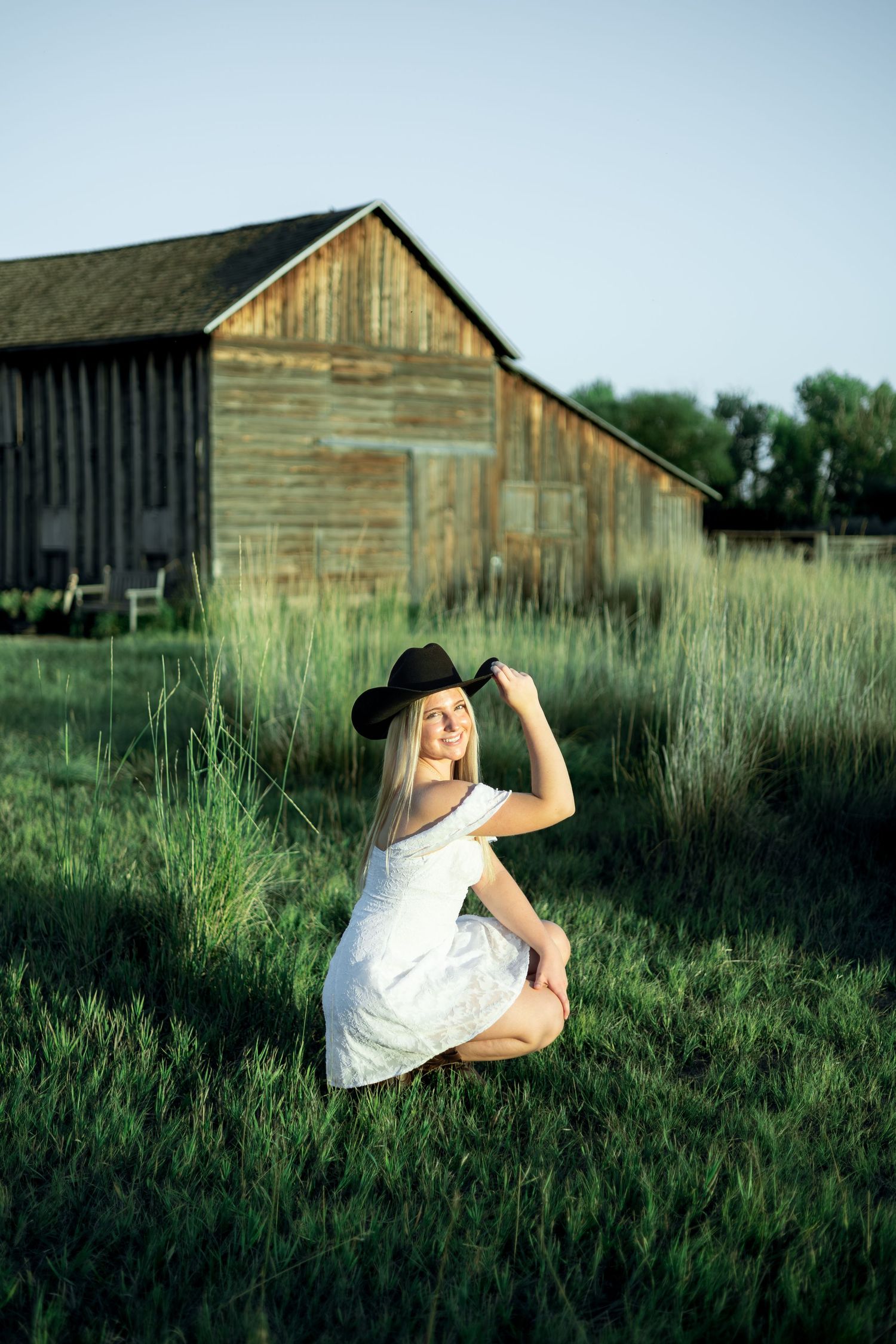 Rustic wooden barns stand against a blue sky with tall grass in the foreground.