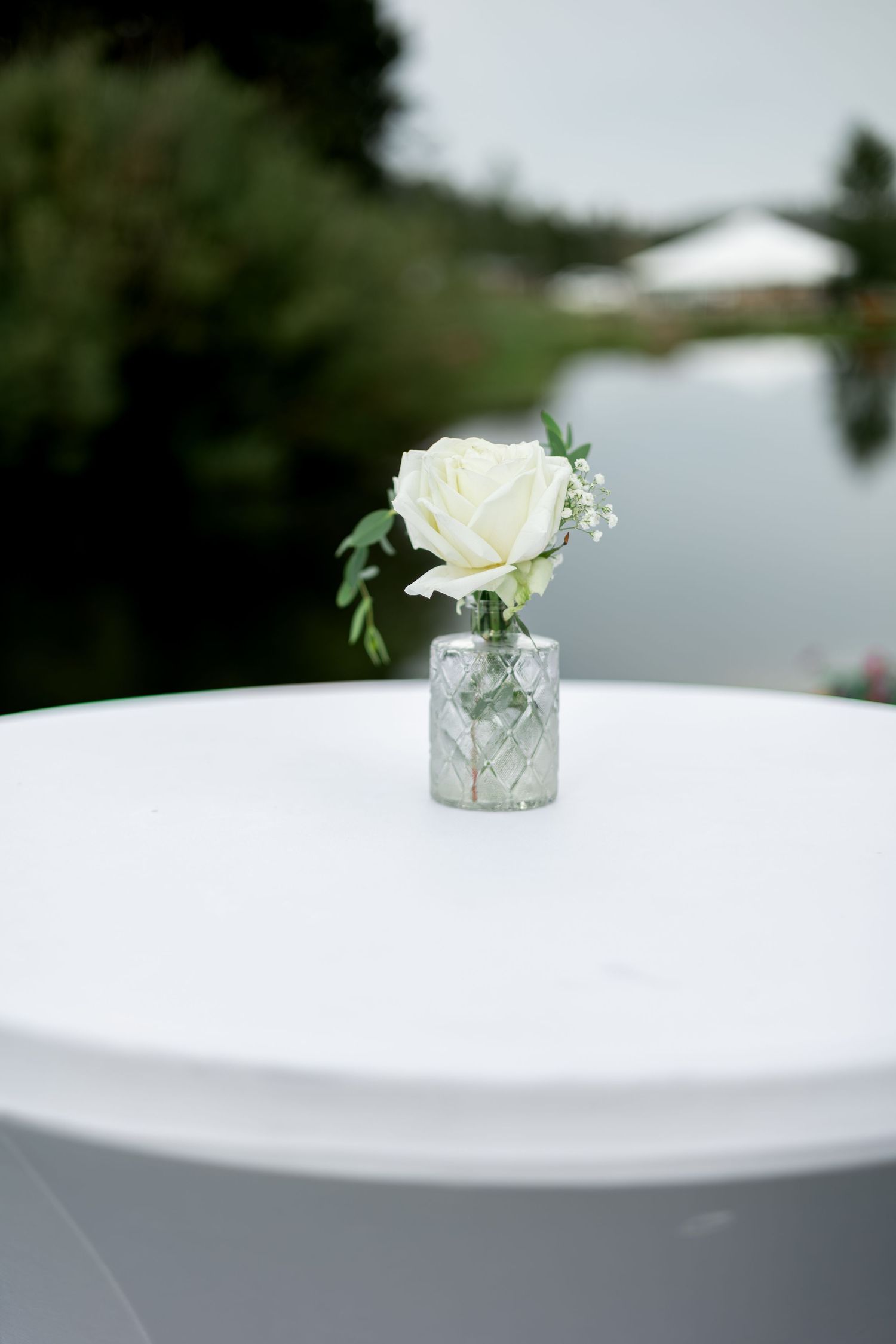 Simple white rose centerpieces in small glass vases arranged on white tablecloth.