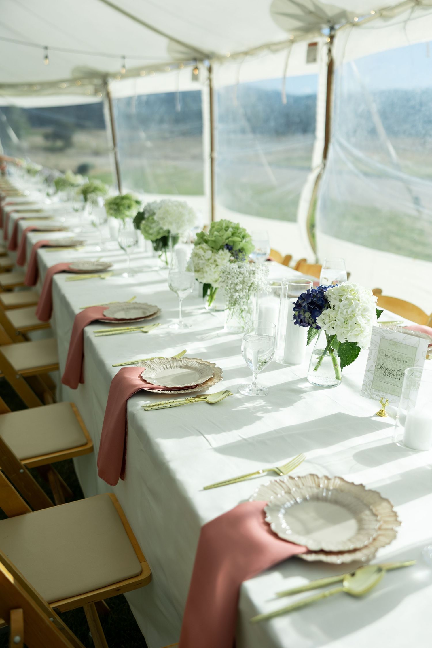 Elegant wedding reception table with dusty rose napkins, gold cutlery, white hydrangea centerpieces under a tent.