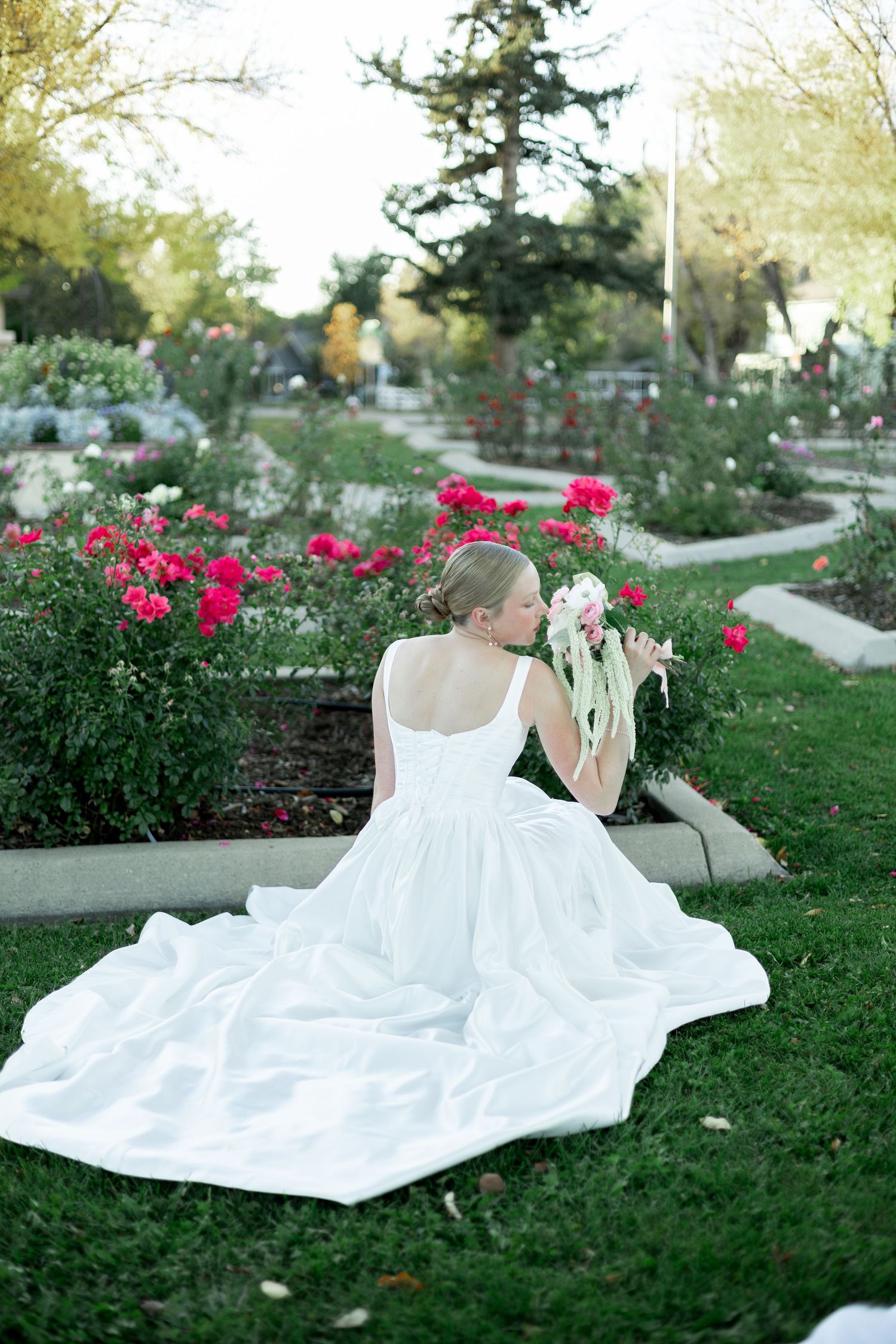 Bride in white gown with train sits in rose garden holding bouquet, viewed from behind.