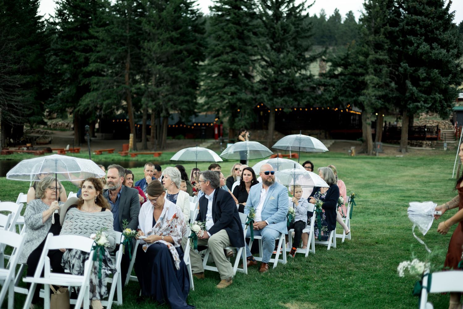 Outdoor wedding ceremony guests seated in white chairs on green lawn with clear umbrellas amid tall pine trees.