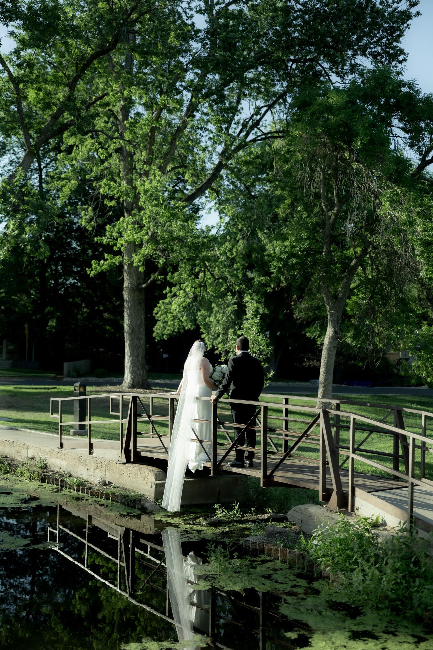Bride and groom standing on a wooden bridge over a pond surrounded by tall green trees.