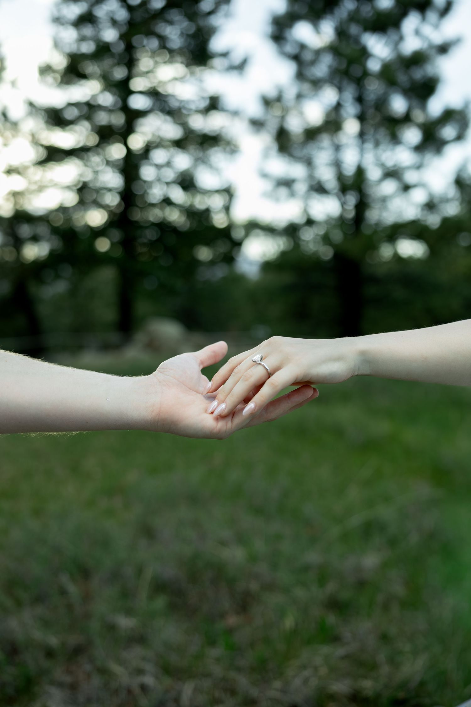 Close-up of couple holding hands outdoors showing diamond engagement ring on woman's finger in forest setting.