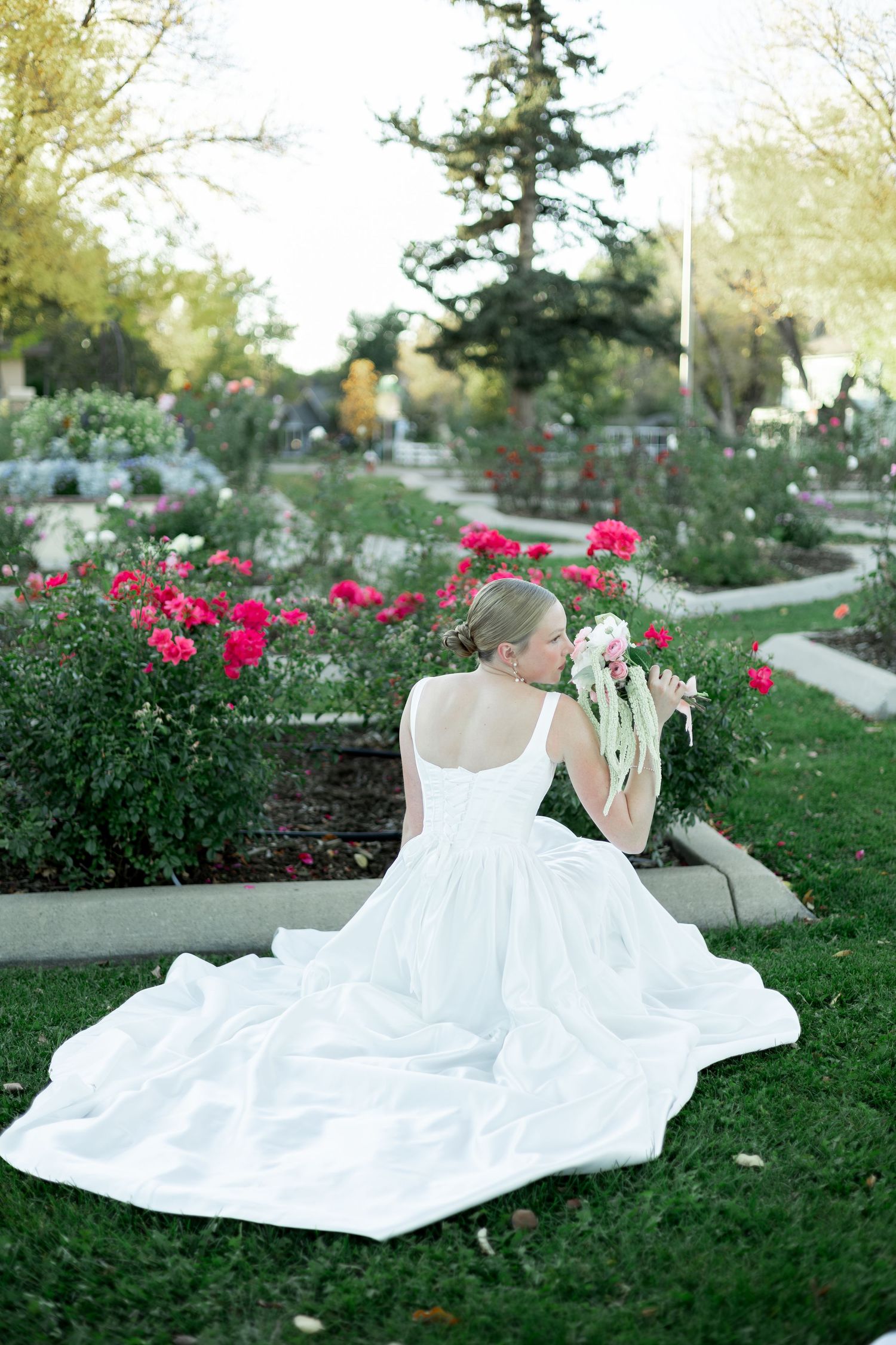 A person in a flowing white dress reclines on grass near blooming red roses in a garden setting.