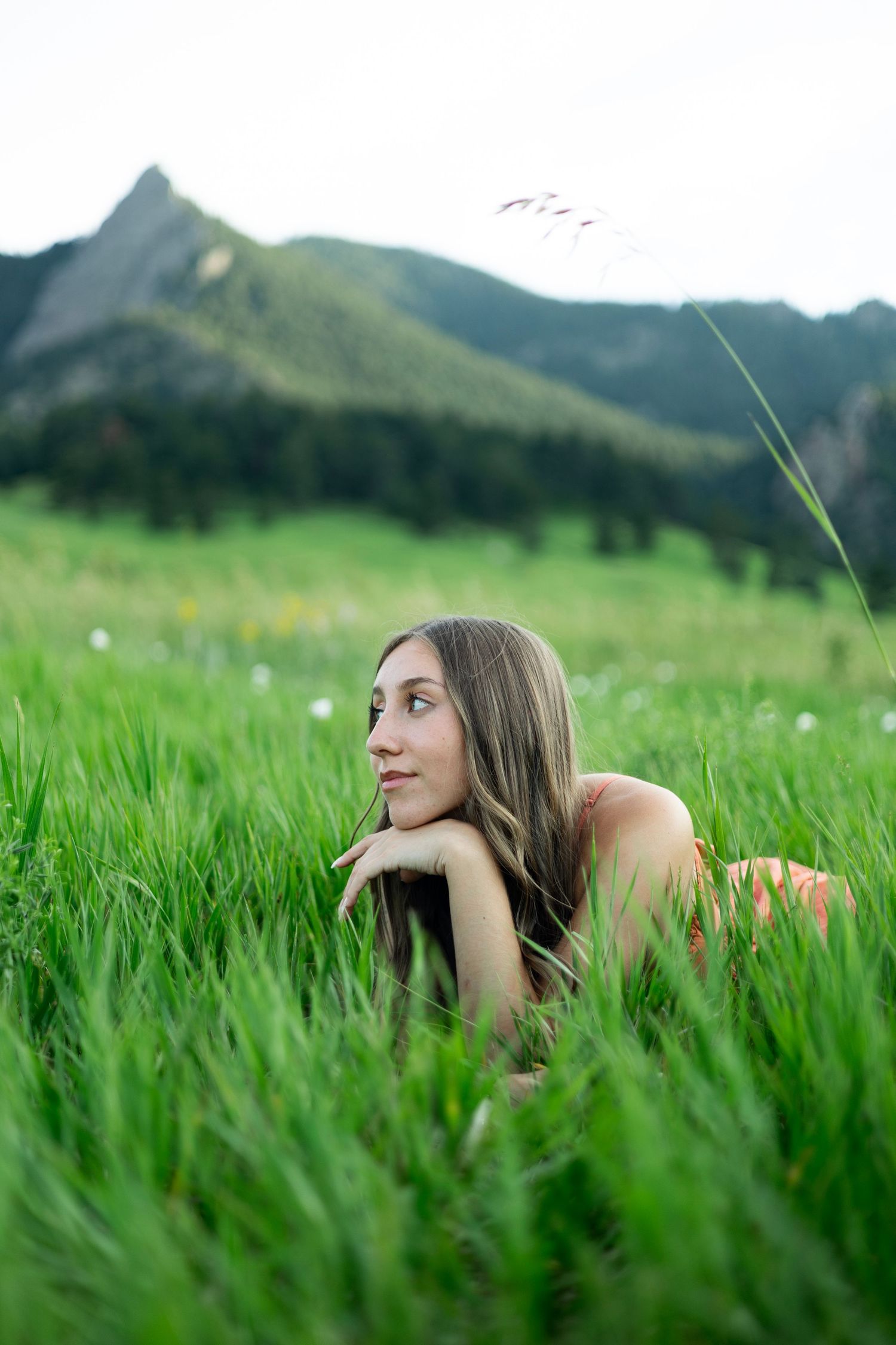 Someone lies in a lush green meadow gazing into the distance with mountain peaks and birds visible in the background.