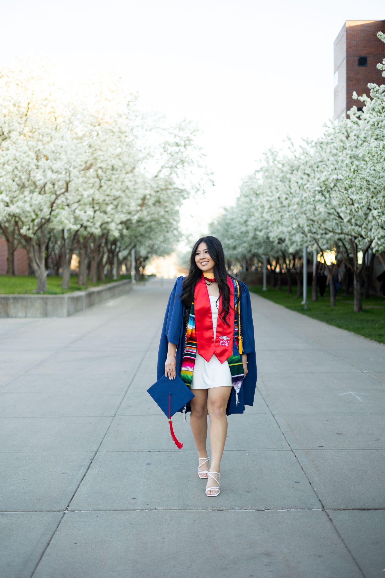 Graduate wearing a blue coat and red graduation stole walks down a tree-lined pathway on campus during spring.