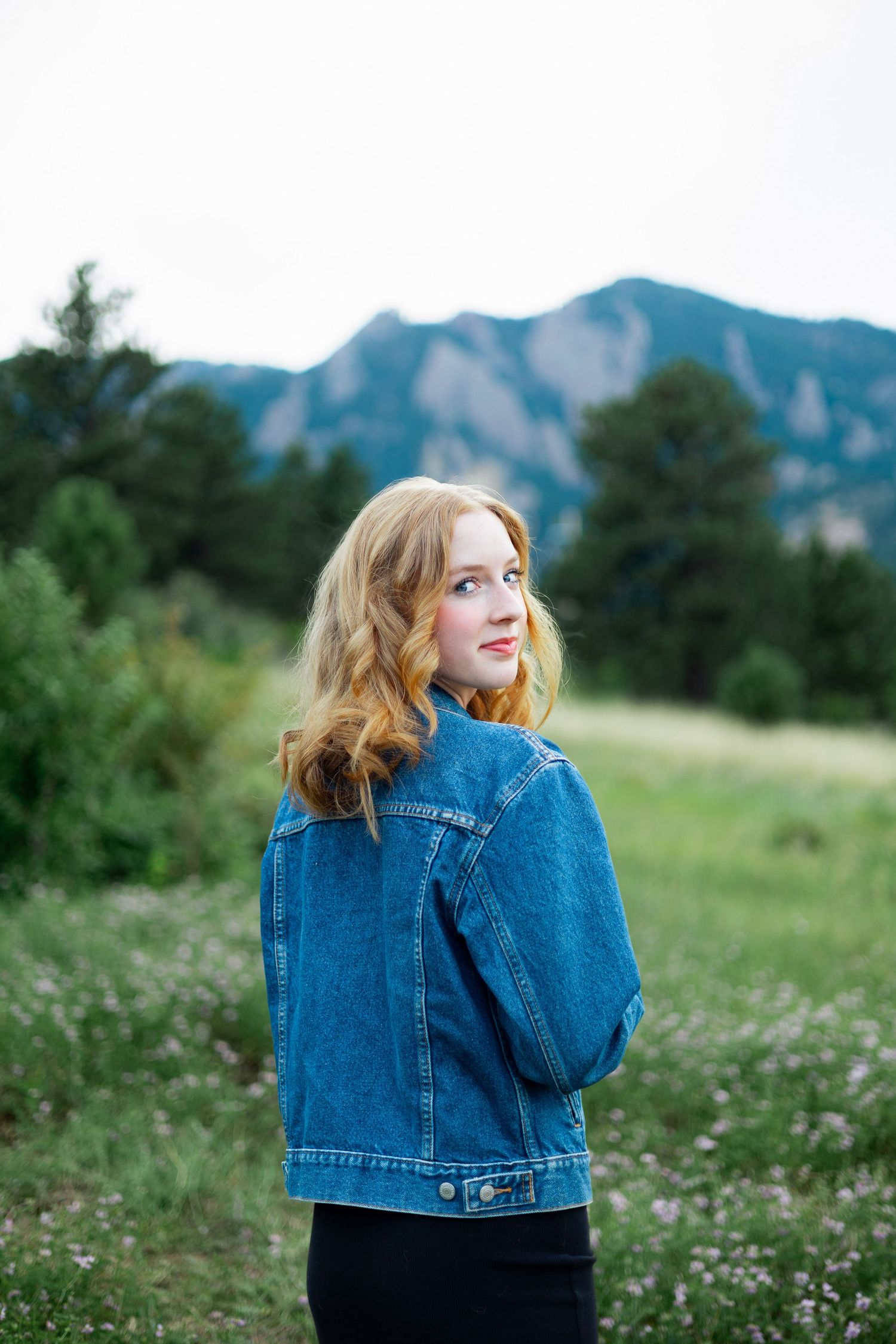 Person in denim jacket stands in wildflower meadow with mountain backdrop on sunny day.