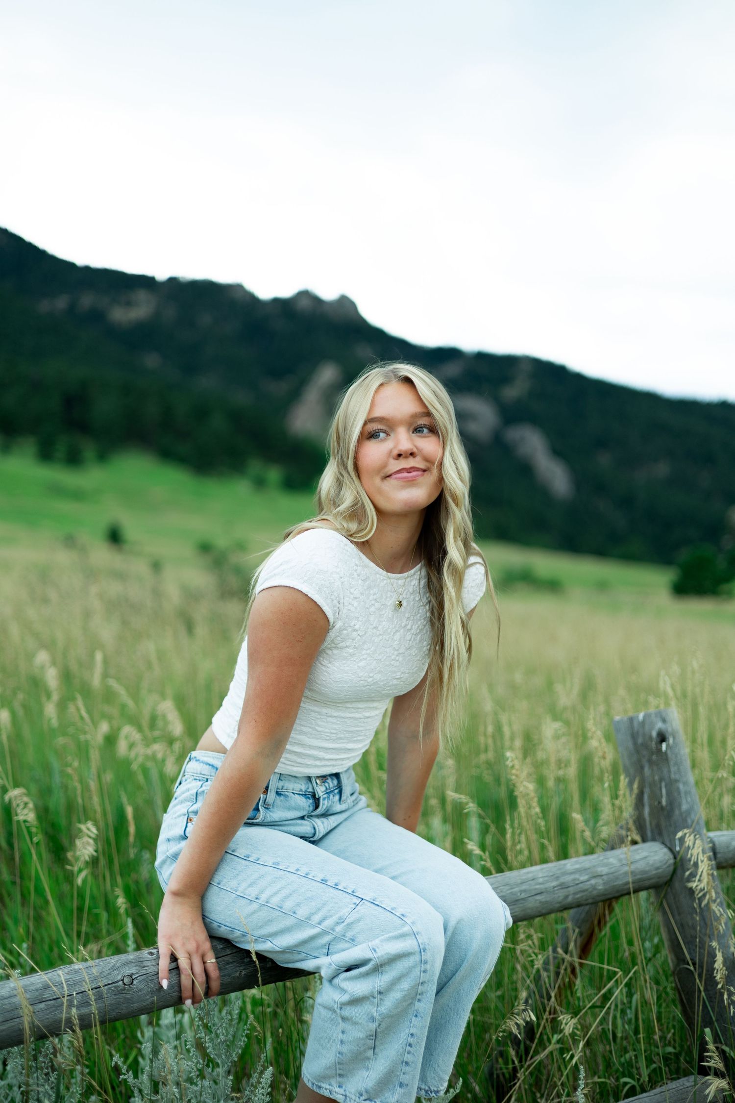Person sitting casually on wooden fence post surrounded by green meadow with mountain landscape behind.