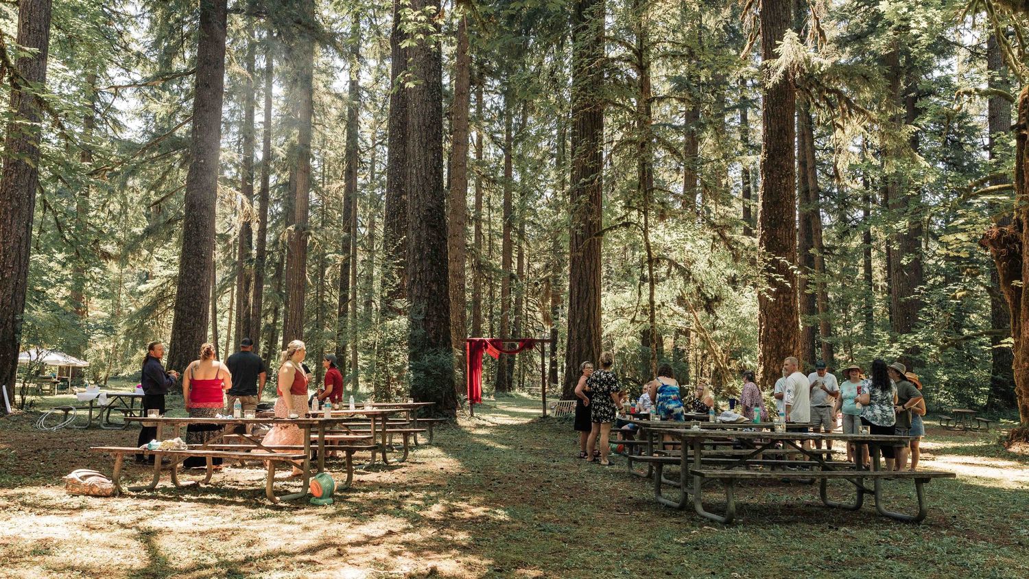 Wedding guests sit at wooden picnic tables beneath tall evergreen trees, with a red-draped ceremony arch in the distance.