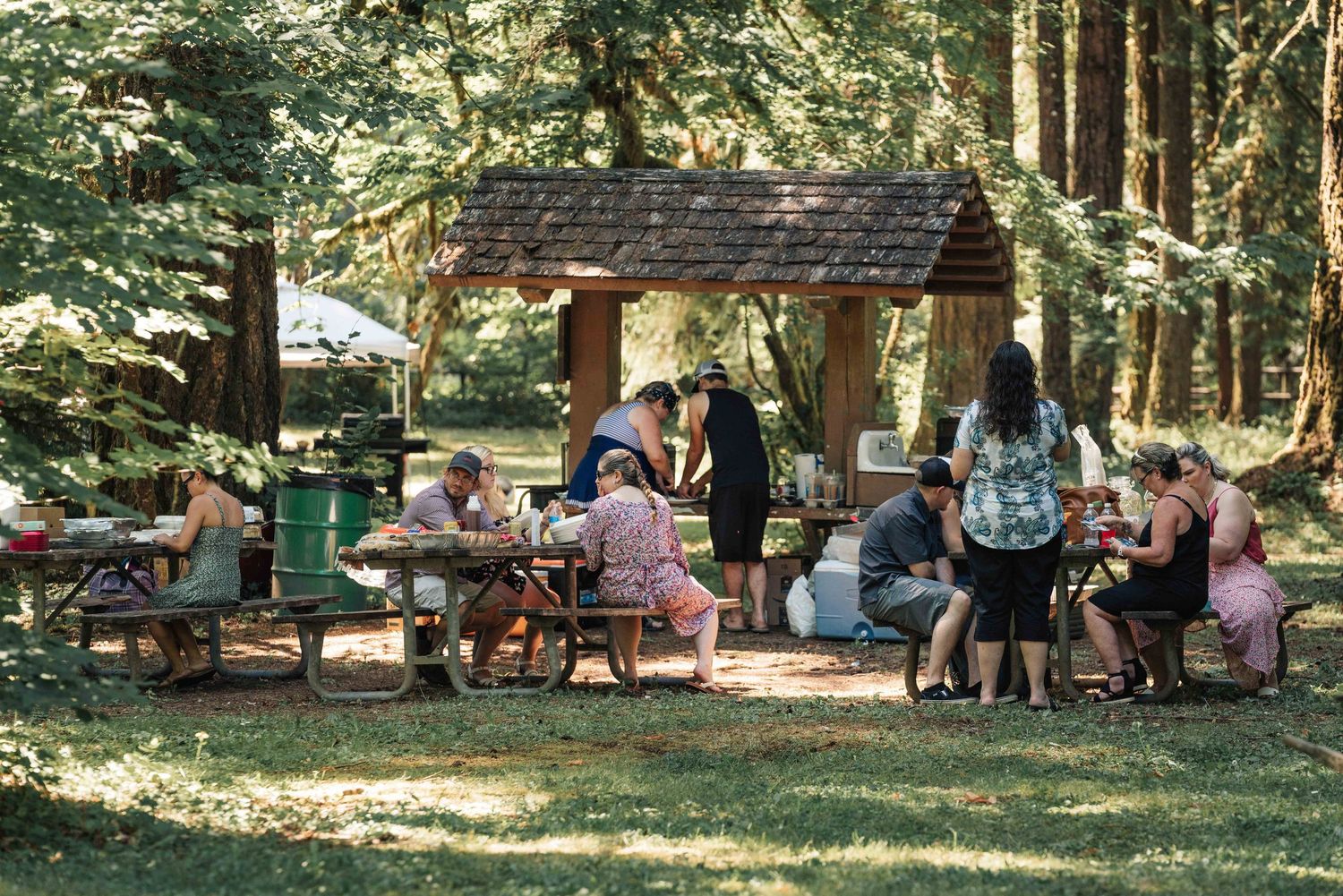 Guests gather at picnic tables near a wooden shelter among tall trees during an outdoor forest event in dappled sunlight.