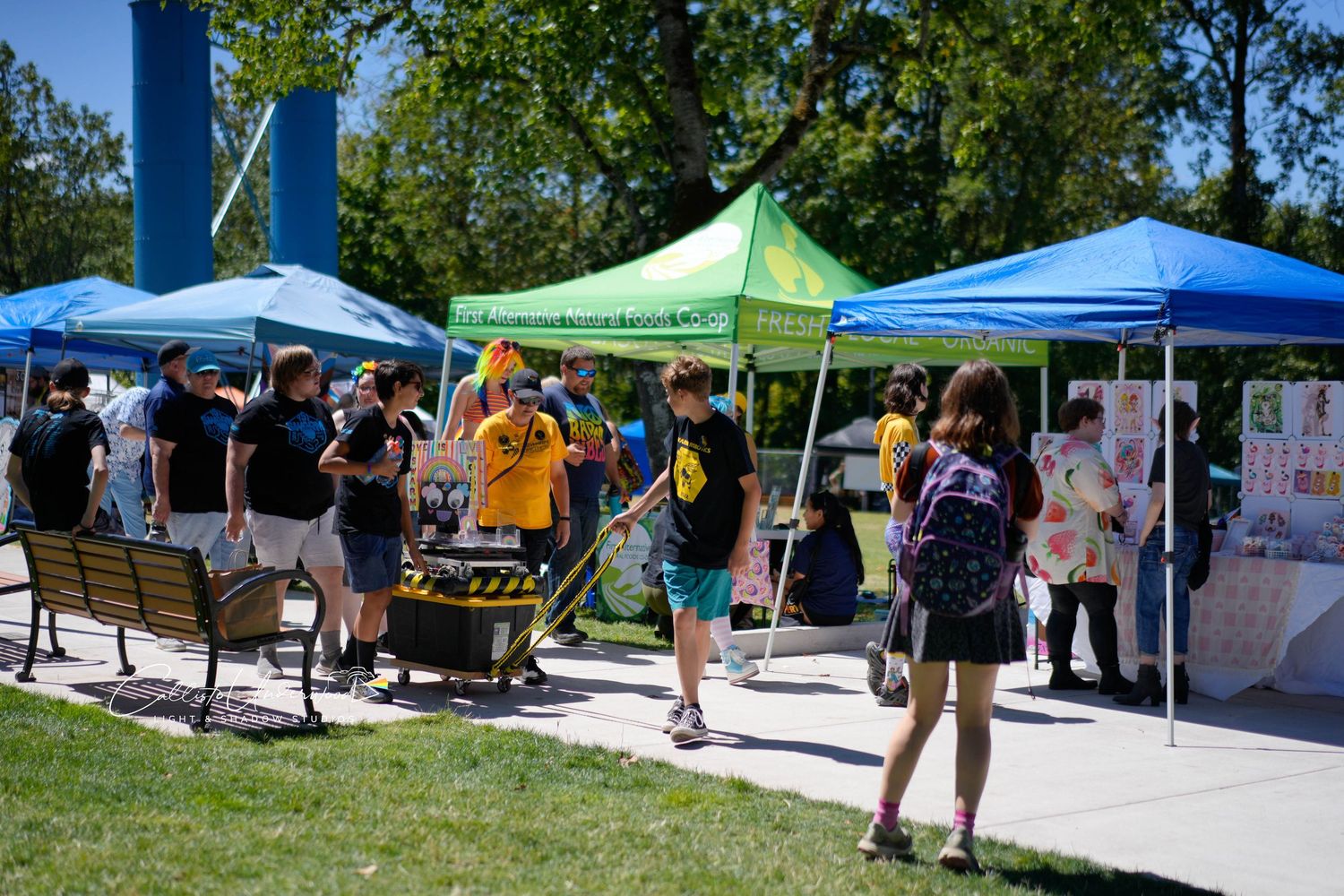 Crowd of people walk between colorful vendor tents and a bench on the grass at a lively outdoor festival on a sunny day.
