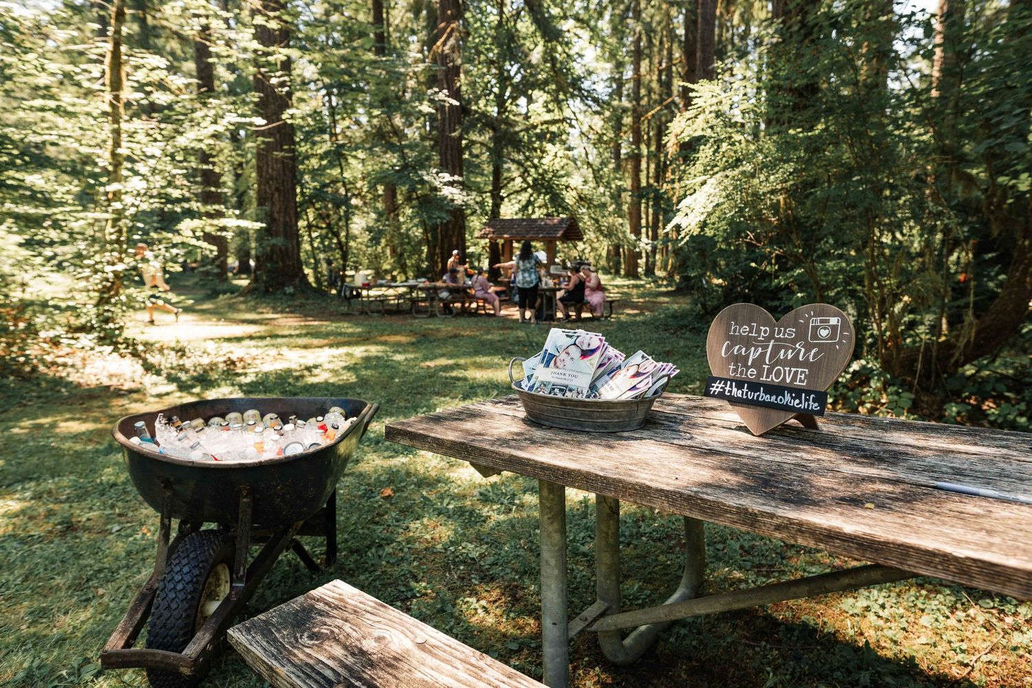 A wooden table with a hand-painted sign and a wheelbarrow filled with items sits in a sunny forest picnic area.