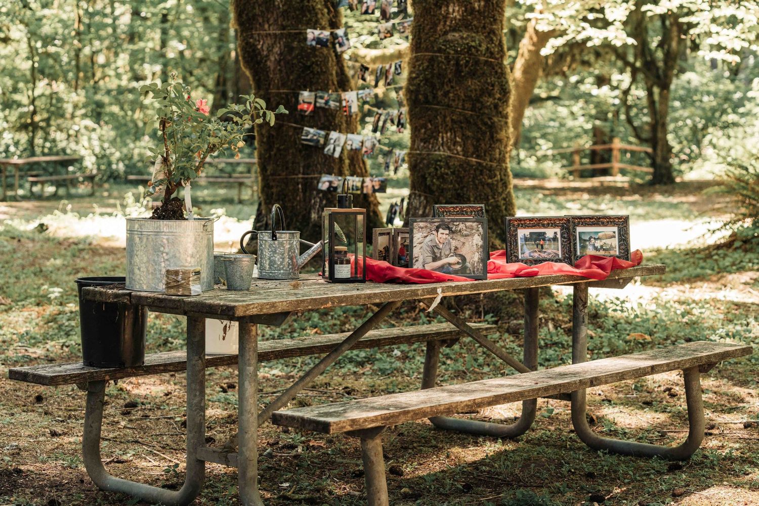 Wooden picnic table in a sunny forest decorated with framed photos, a red cloth, and a metal bucket holding flowers.