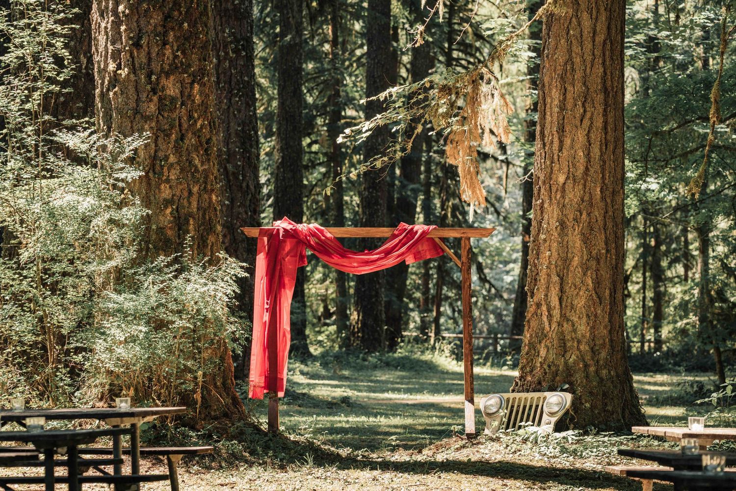 Wooden ceremony arch draped with red fabric stands among tall evergreen trees in a forest clearing with benches nearby.