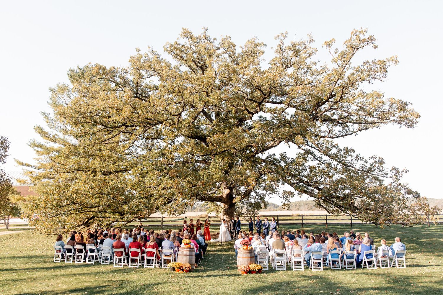Sugarland Wedding wide shot of Oak Tree.