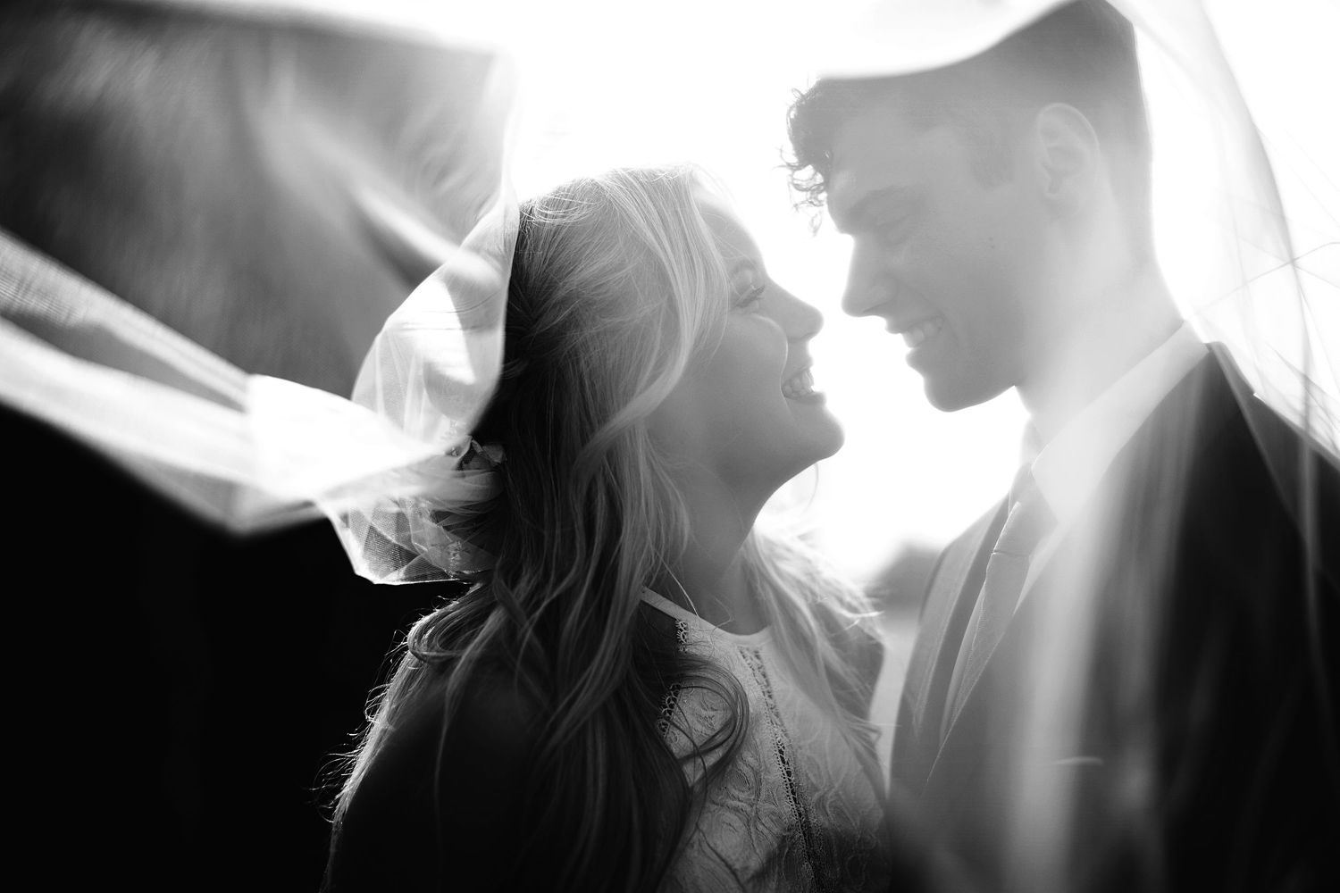 Artistic black and white silhouettes capture intimate wedding moments.