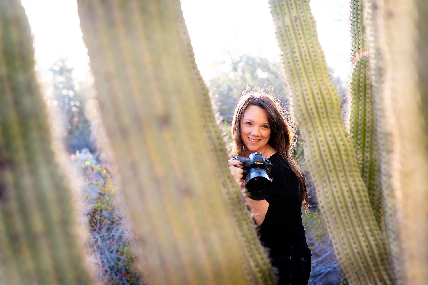 Desert scene with saguaro cactus and natural desert flora.