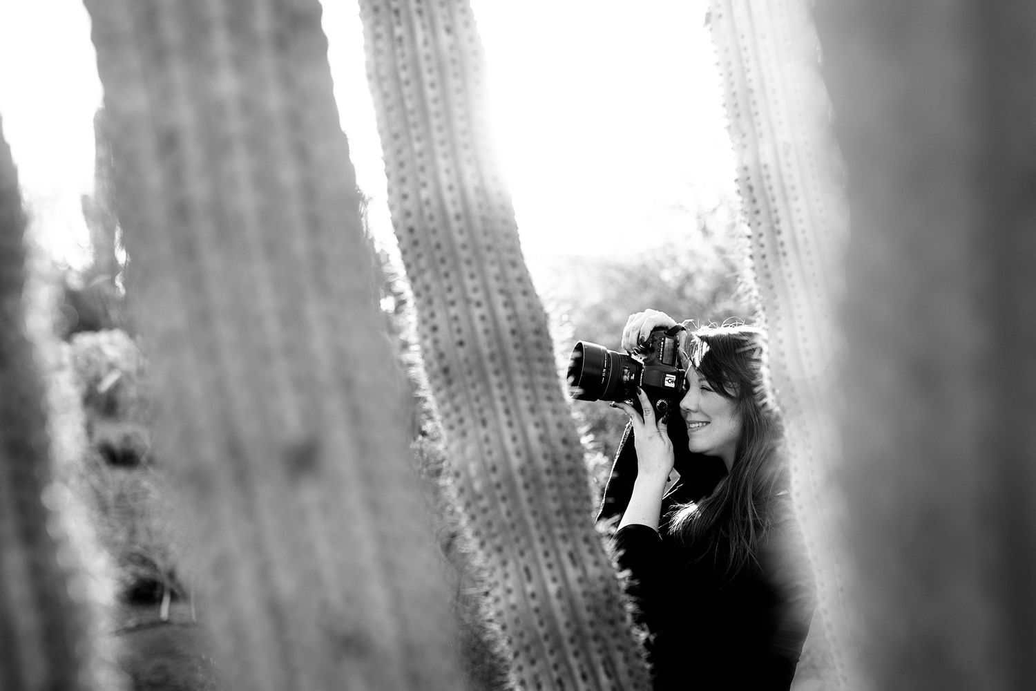 Black and white desert landscape with cactus silhouettes.